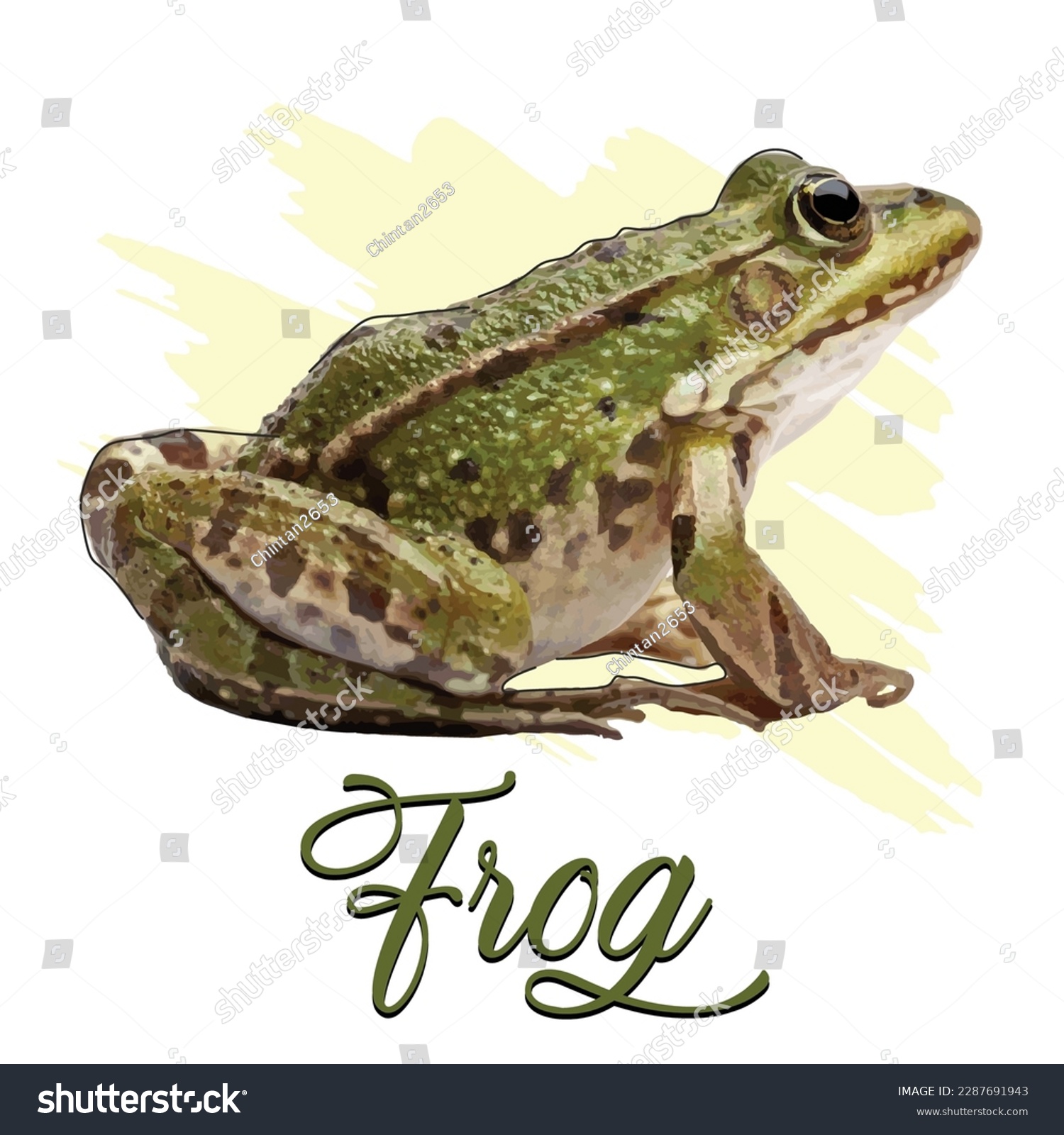 SVG of Frog Vector Art, Graphics and Stock Illustrations svg
