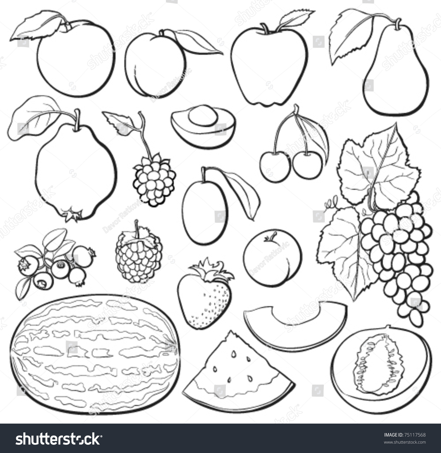 Fruit Basic Set Black White Each Stock Vector 75117568 - Shutterstock