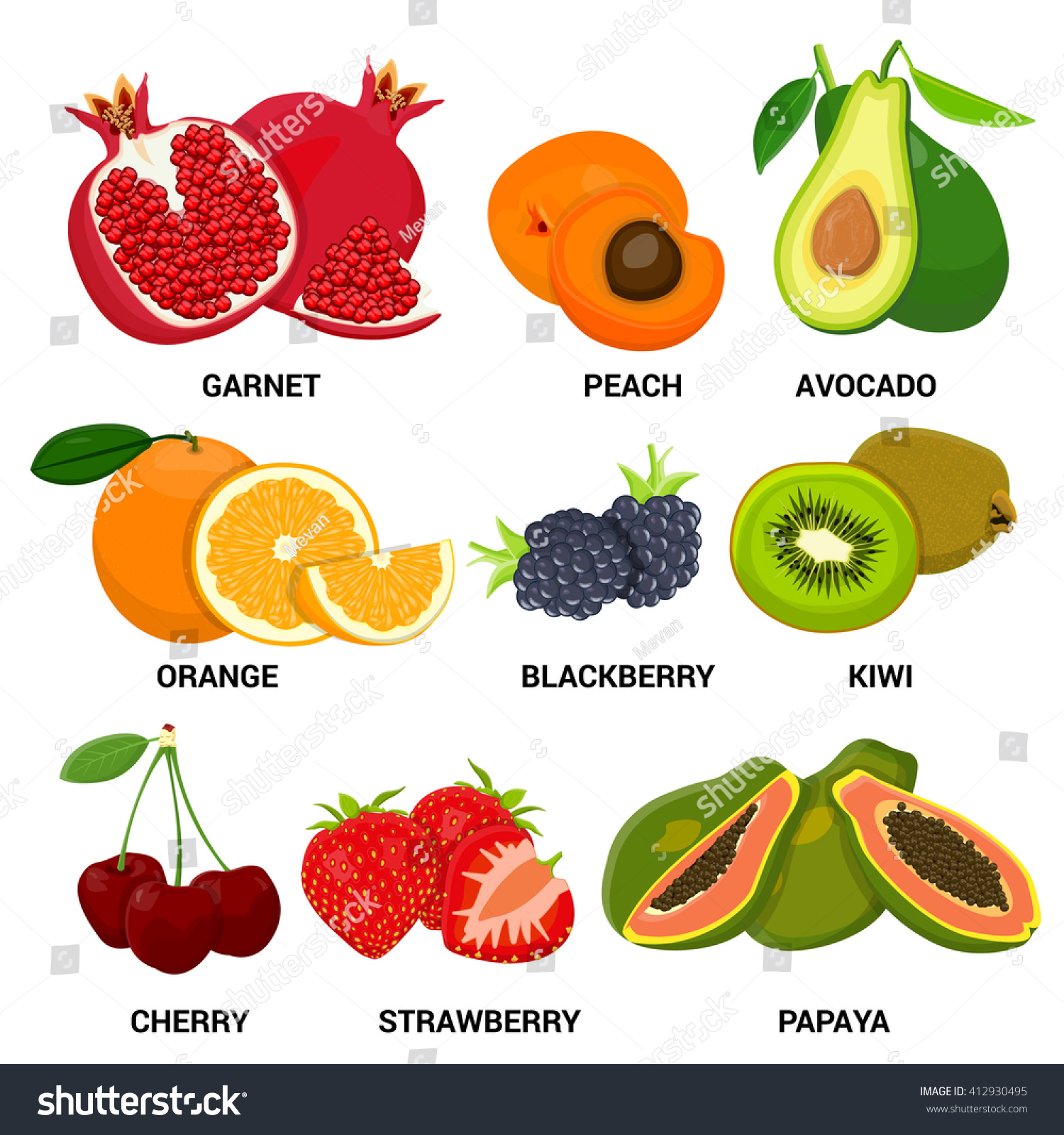 Fruit Set Color Vector Illustration Stock Vector (Royalty Free ...