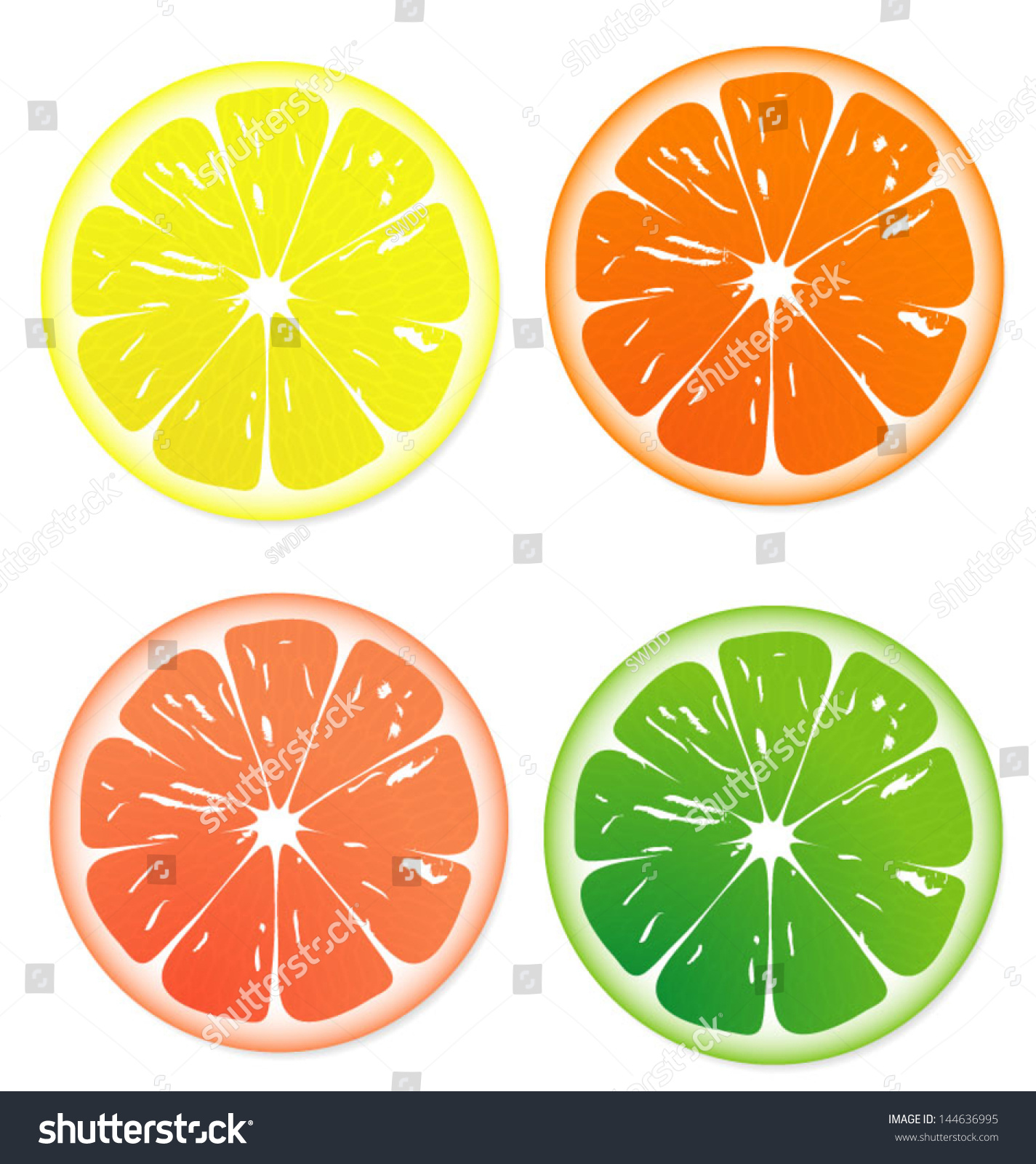 Download Fruit Slice Vector Isolated On White Stock Vector ...