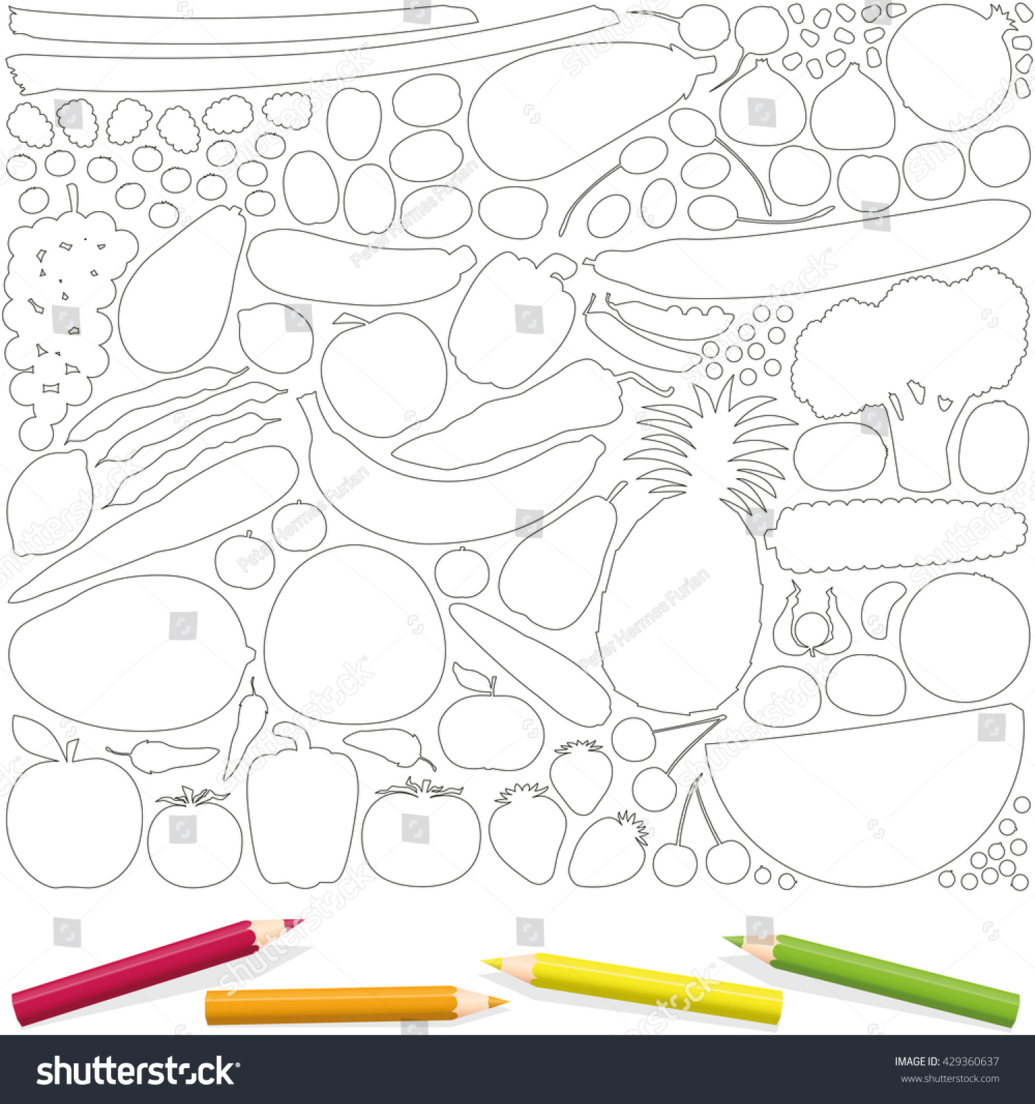 Outline Images Of Fruits And Vegetables