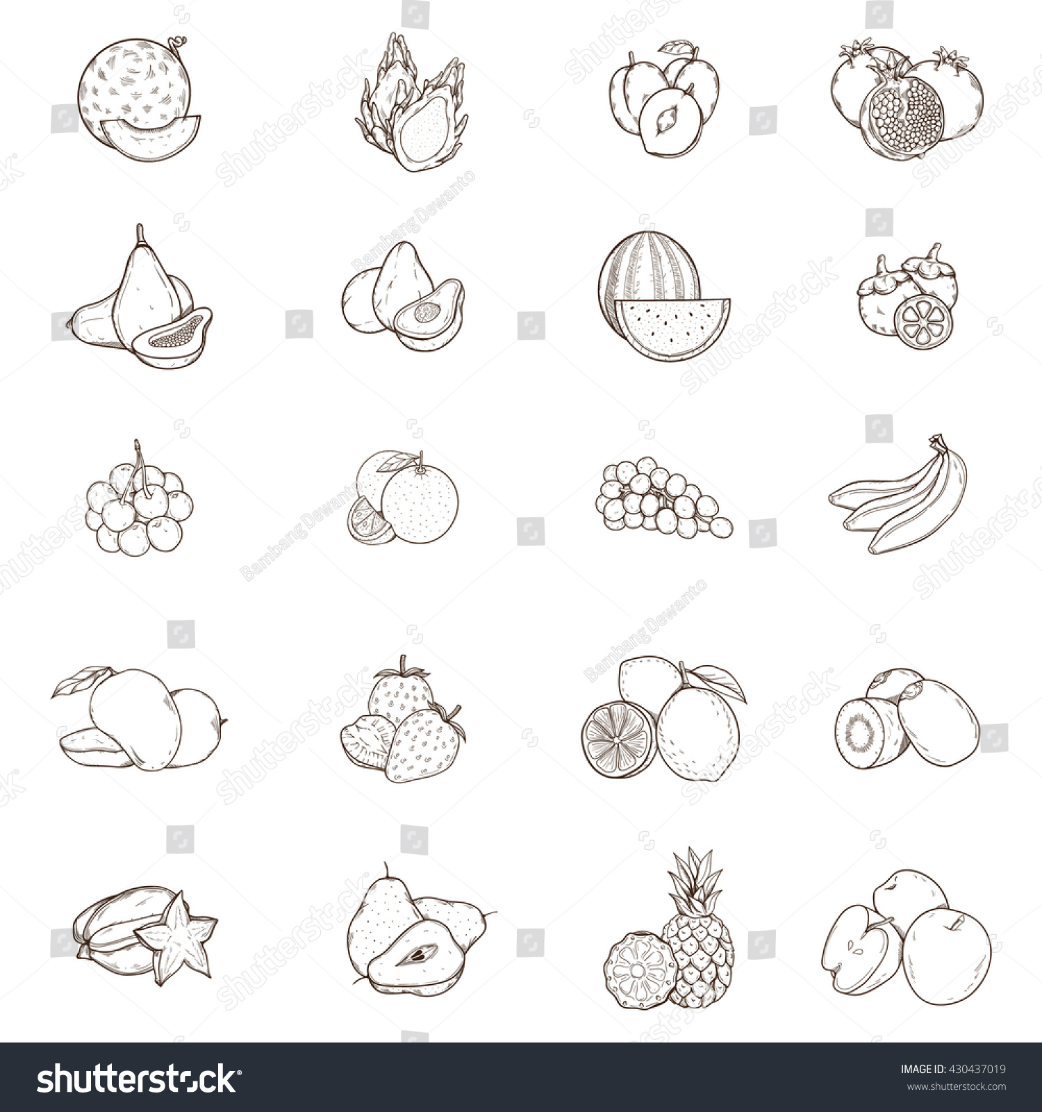 Fruits Hand Drawn Illustration Stock Vector (Royalty Free) 430437019