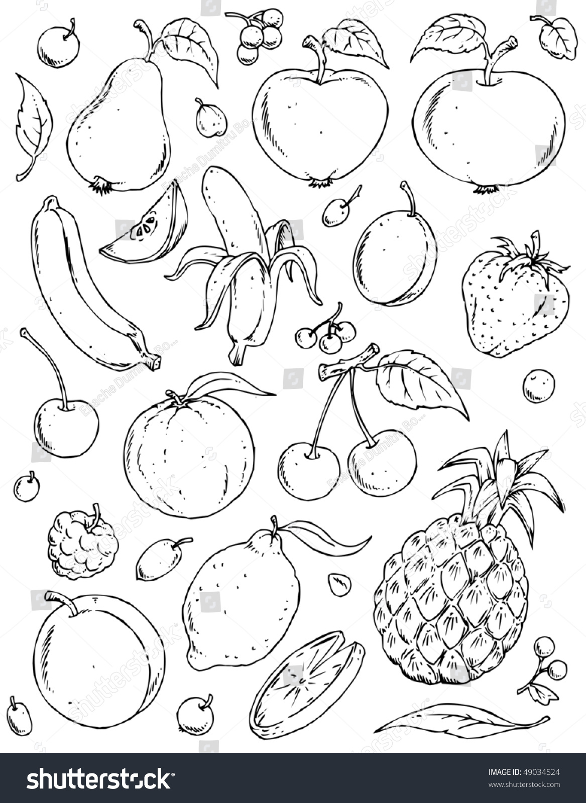 Fruits Large Group. Black & White Illustration Variants - 49034524 ...