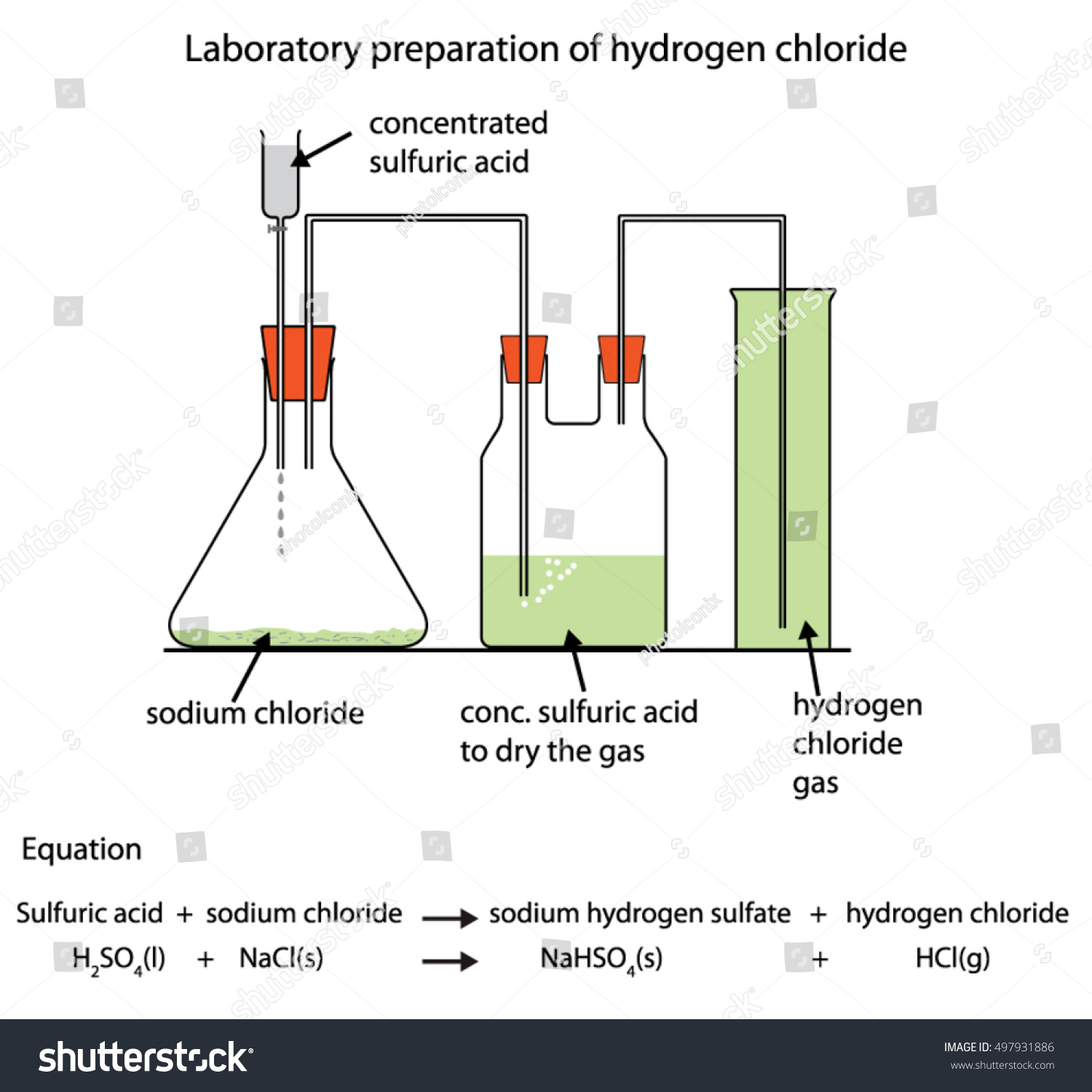 Fully Labelled Diagram Laboratory Preparation Hydrogen | Free Nude Porn