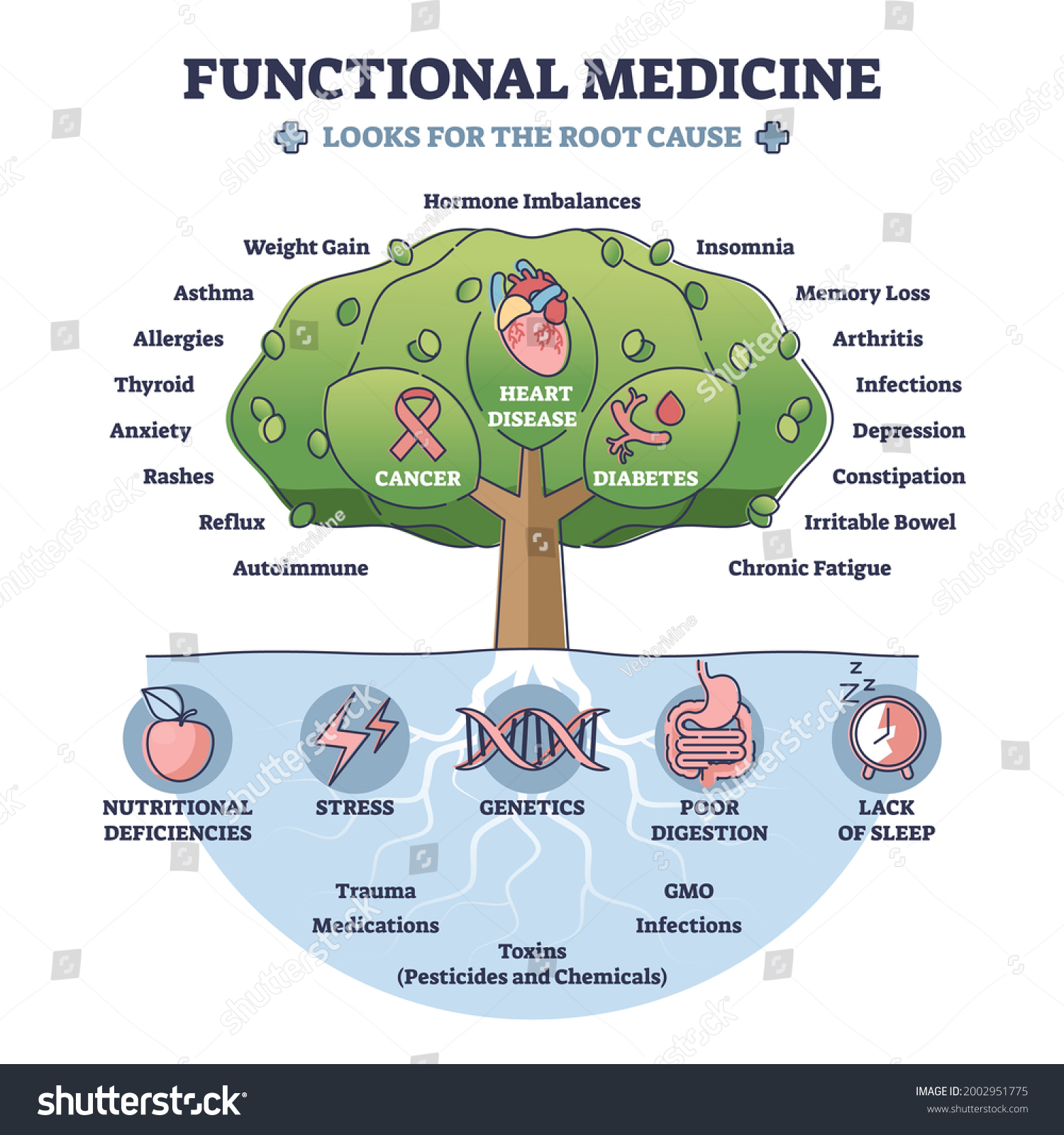 363,787 Medicine tree Images, Stock Photos & Vectors | Shutterstock