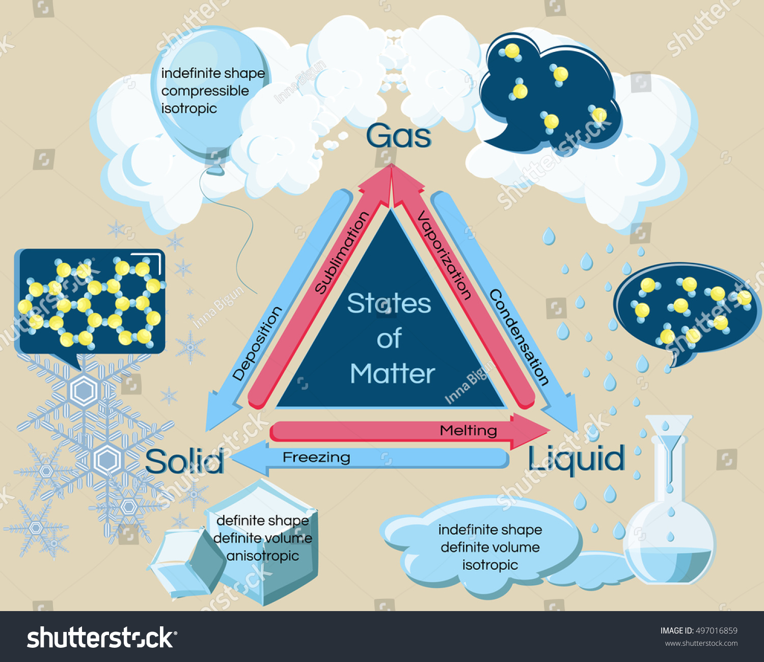 Fundamental States Matter Phase Transitions Changes Stock Vector ...