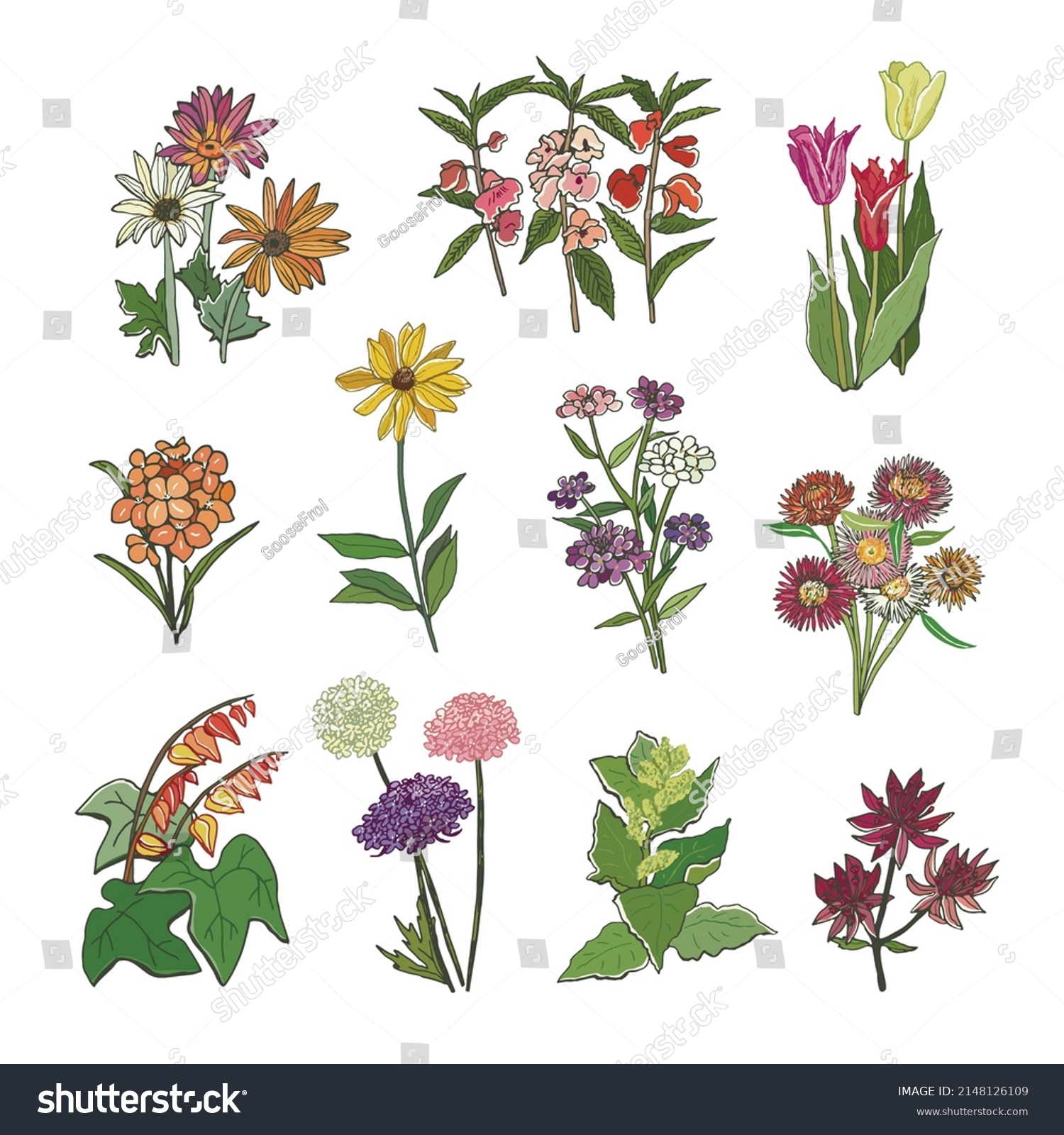 Garden Flowers Vector Illustrations Set Stock Vector (Royalty Free