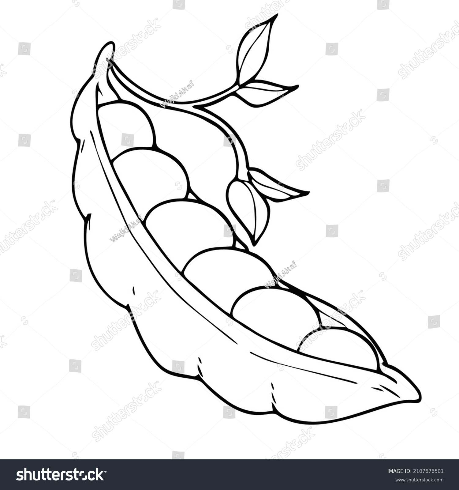 Garden Peas Coloring Page Kids Stock Vector (Royalty Free) 2107676501 ...