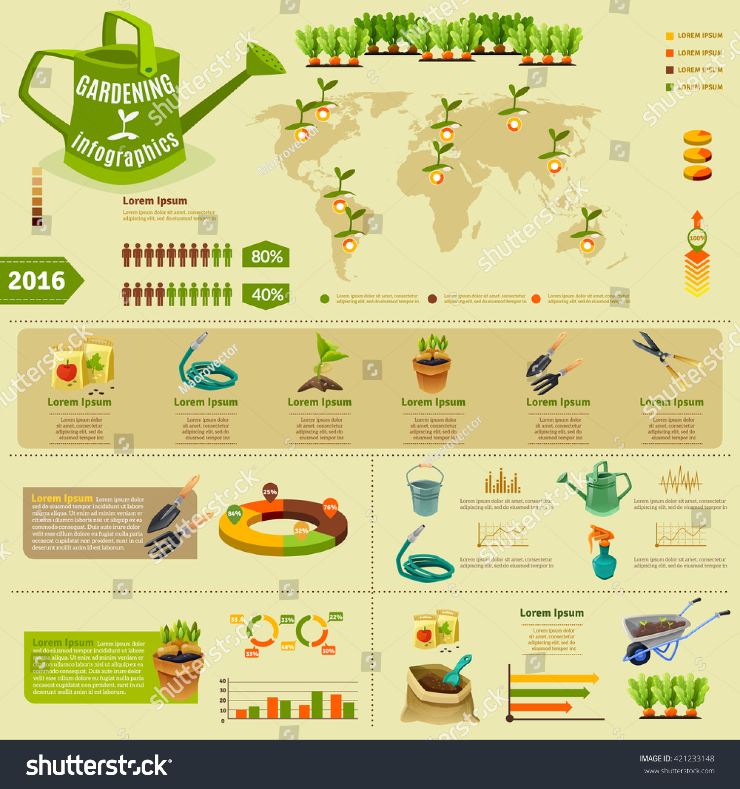 Gardening Infographic Layout With Zoning Of Seedlings Information