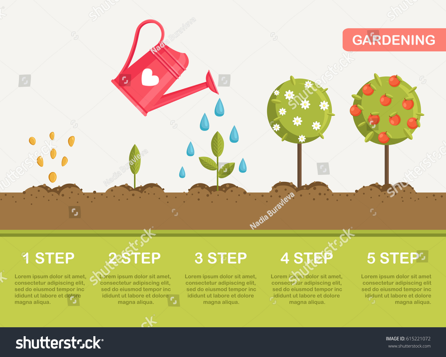 How to grow a tree from the stone 17 How to grow a tree from the stone 29