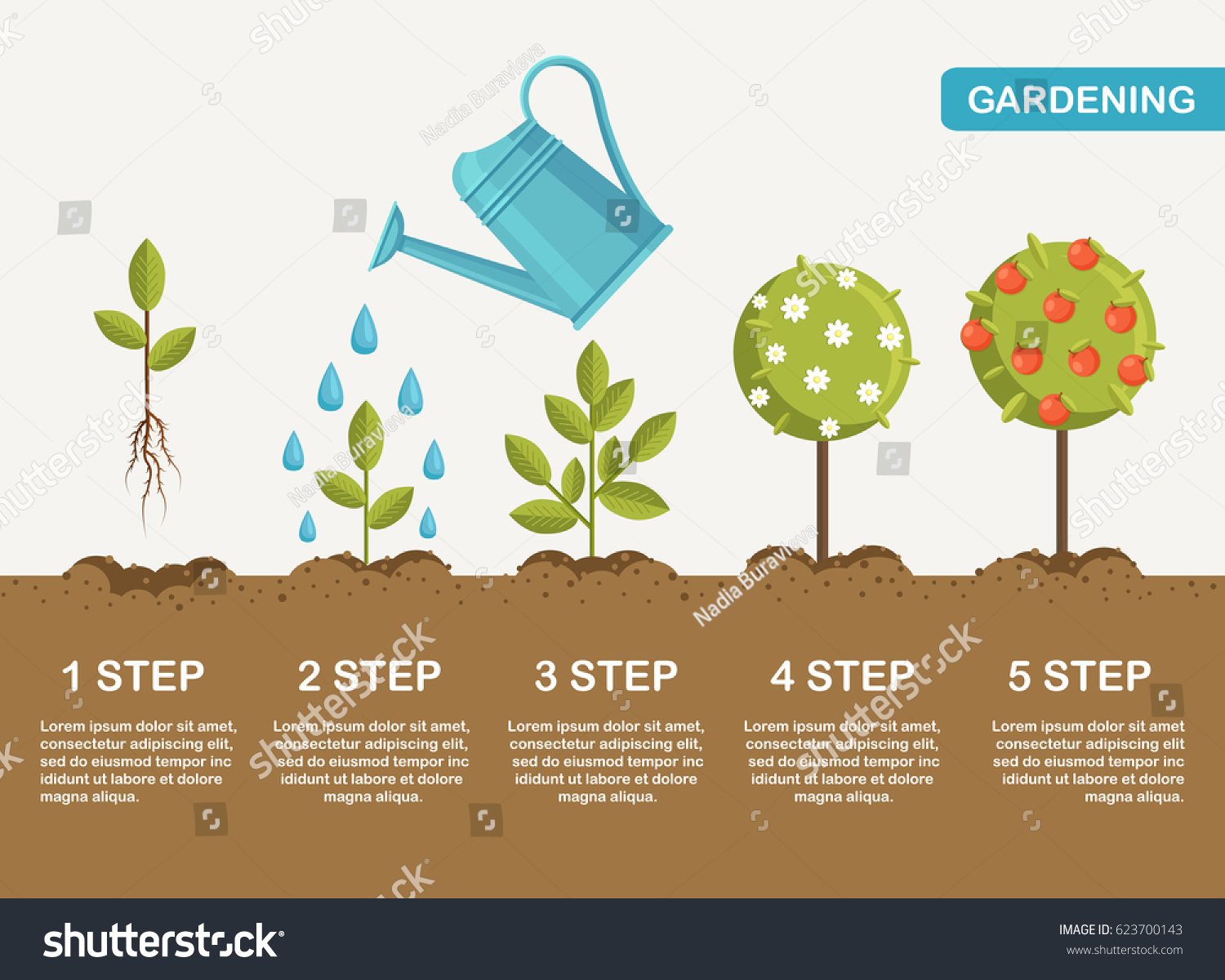 Gardening Planting Process Concept How Grow Stock Vector 623700143 ...
