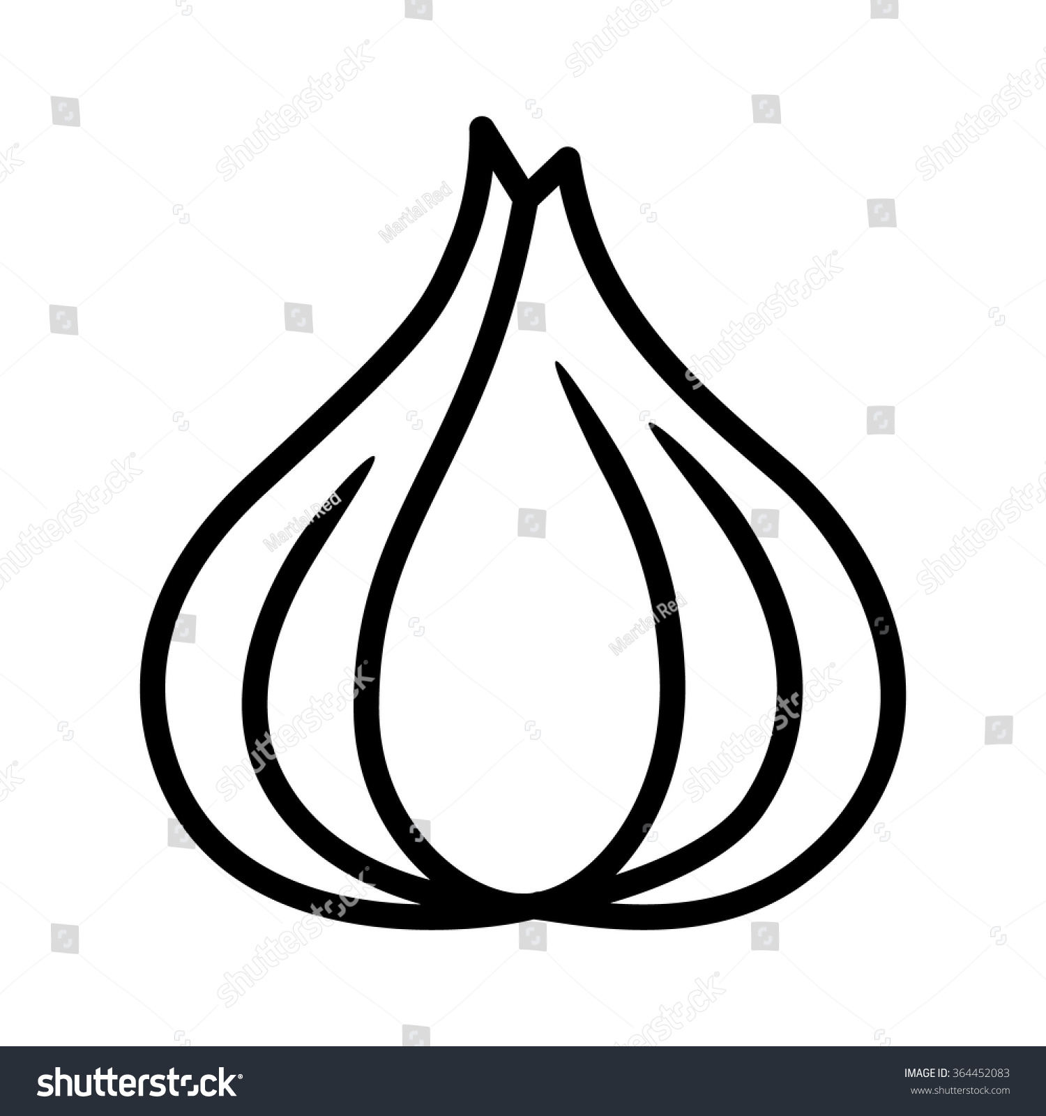 Line Art App : Garlic bulb allium sativum line art stock vector