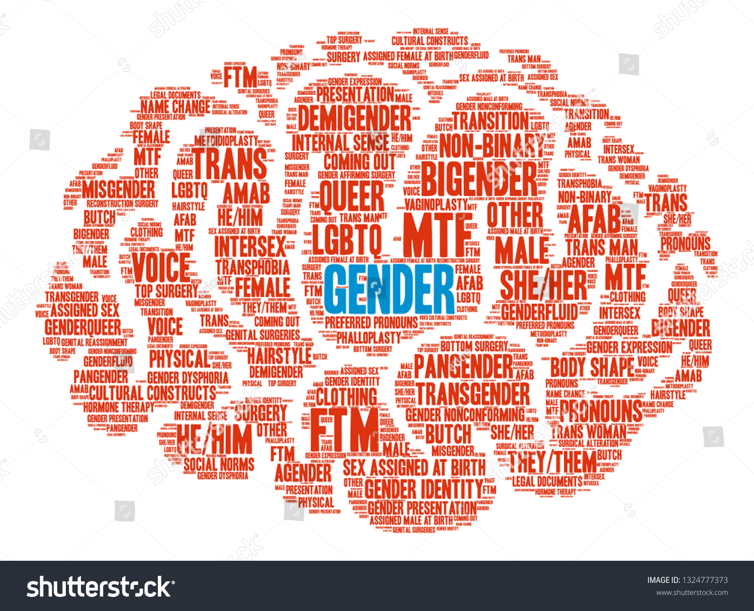 Gender Word Cloud On White Background Stock Vector Royalty Free 1324777373 Shutterstock