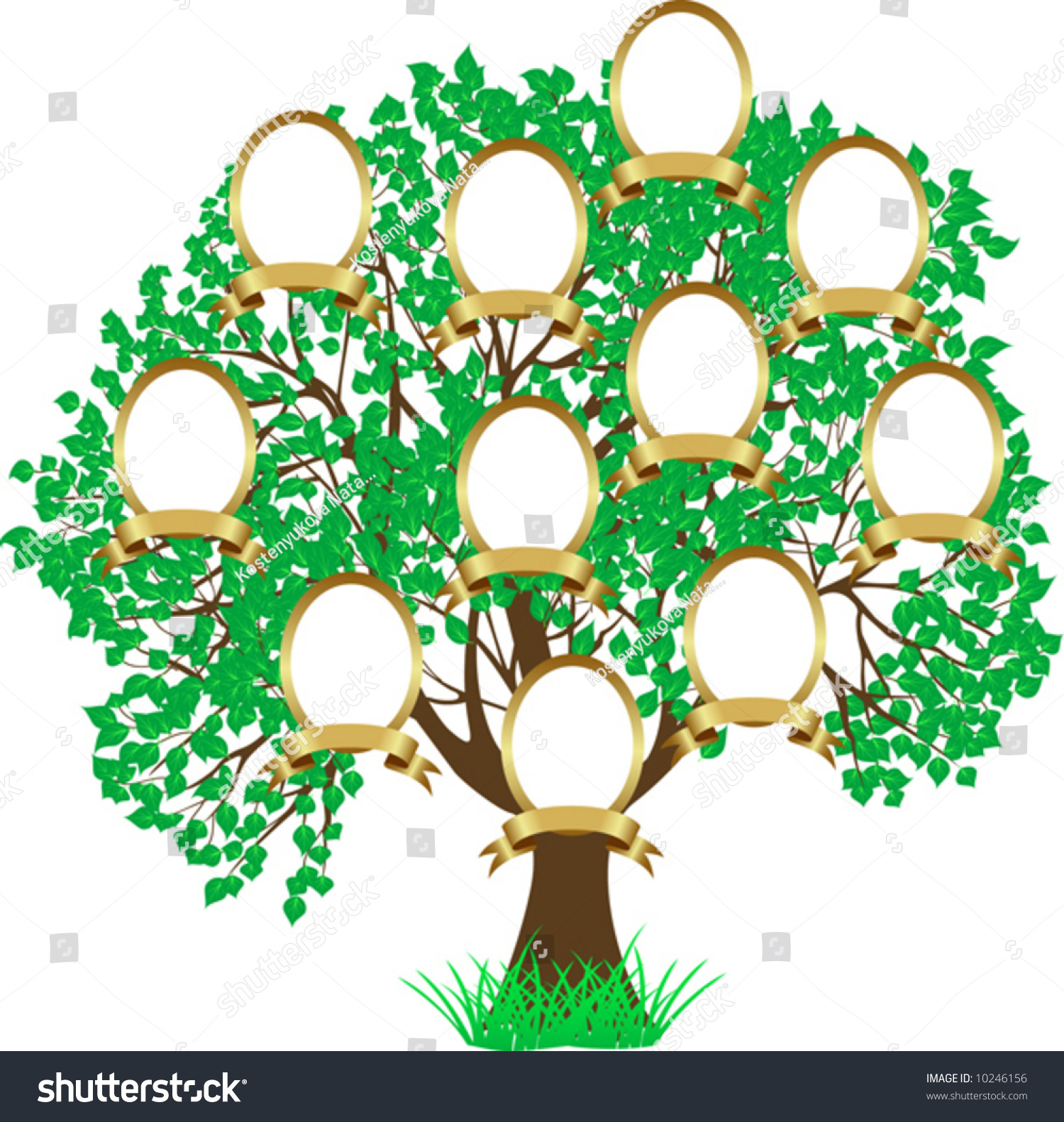 Genealogical Tree Green Tree Vector Illustration Stock Vector 10246156 ...