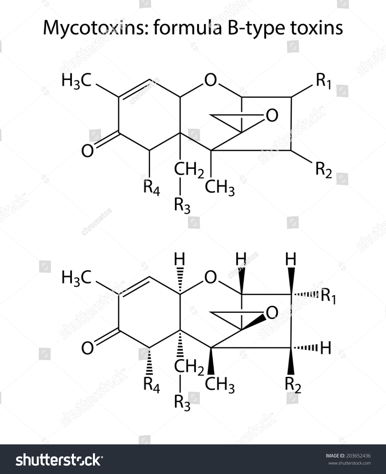 General Structural Chemical Formulas Mycotoxins Btype Stock Vector ...