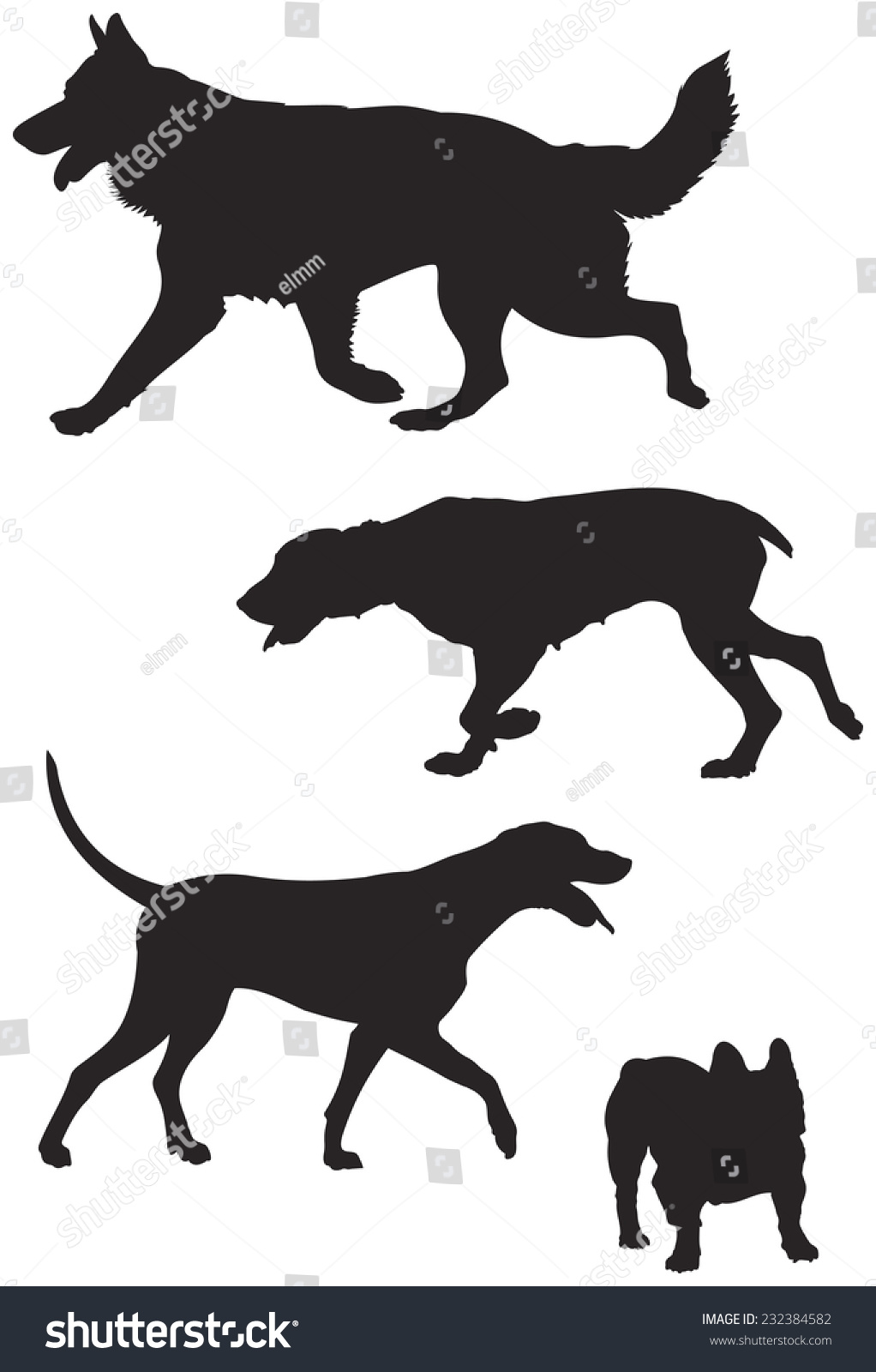 German Shepherd German Shorthaired Pointer Dalmatian Animals