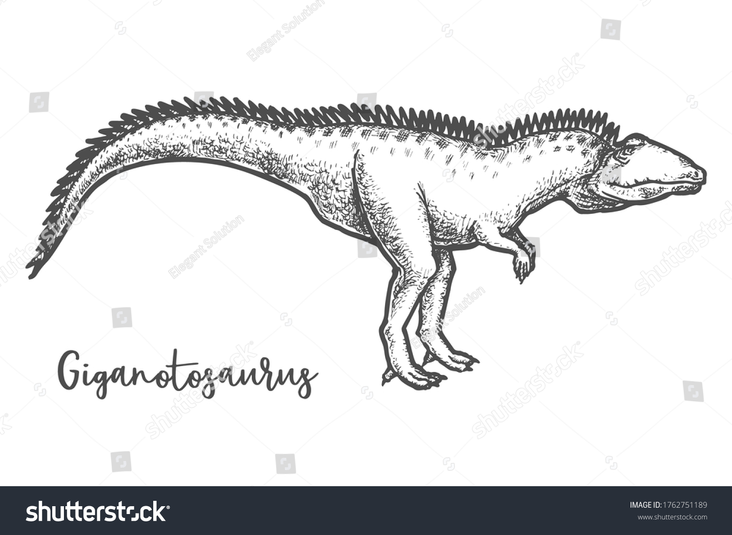 Giganotosaurus Dino Sketching Sketch Lady Giga Stock Vector Royalty Free