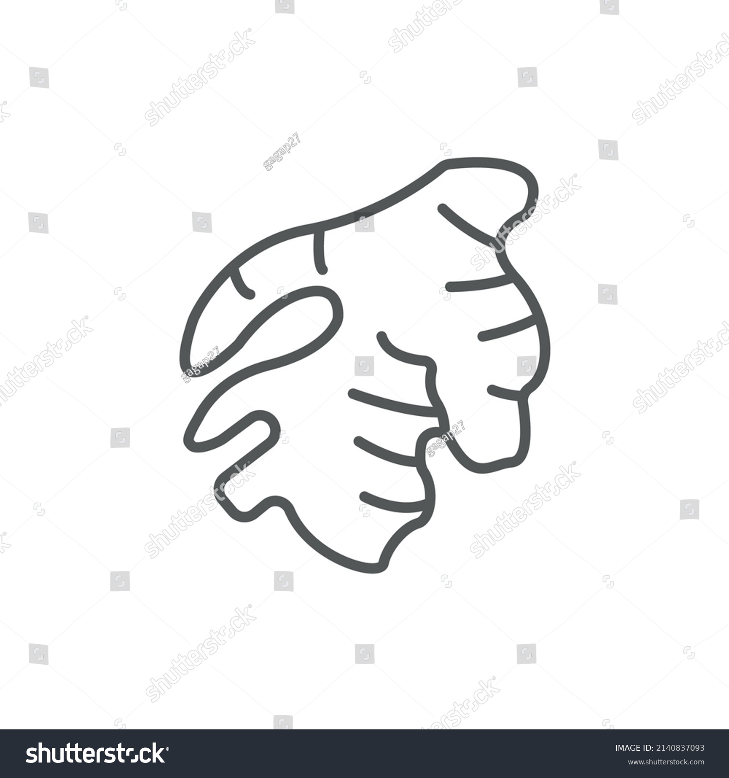 Ginger Icons Symbol Vector Elements Infographic Stock Vector (Royalty