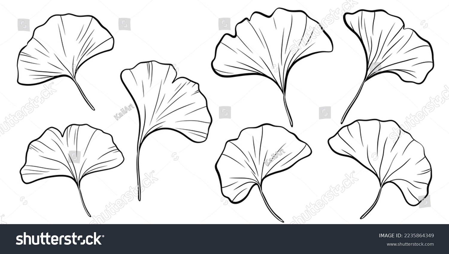 SVG of Ginko Leaf Clipart, Ginko SVG, Ginko Vector, Leaf SVG, Botanical SVG svg