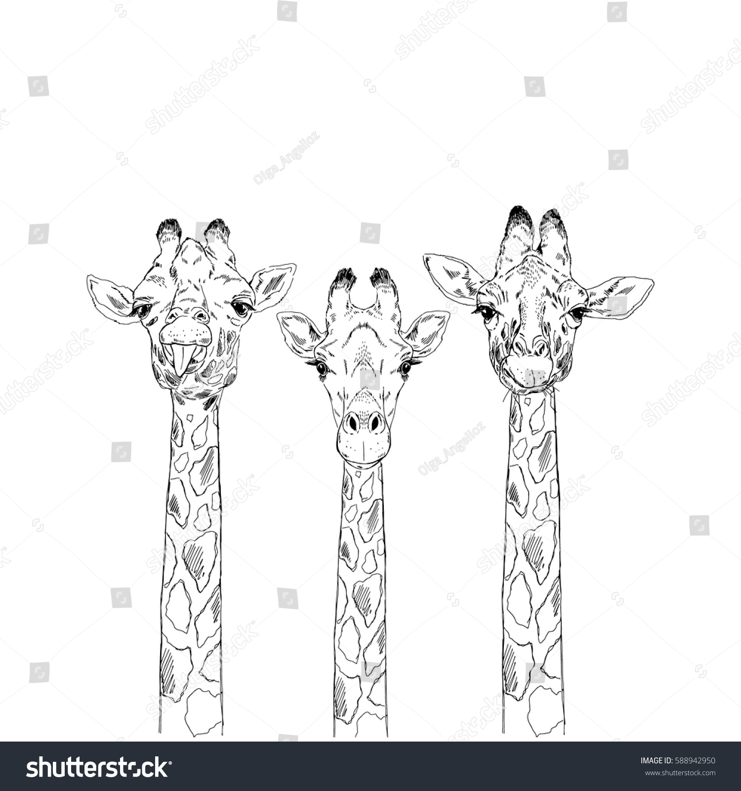 Giraffe Heads Sketch Set Stock Vector (Royalty Free) 588942950 ...