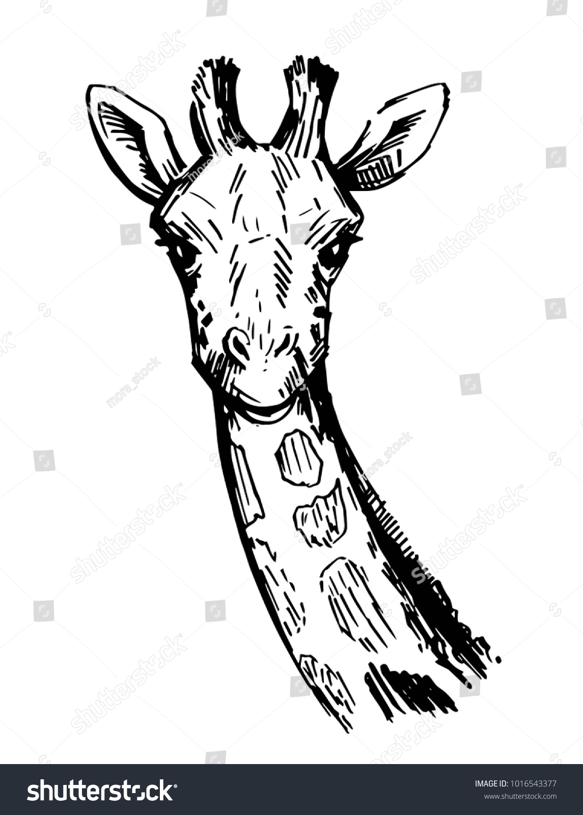 Giraffe Sketch Hand Drawn Illustration Converted Stock Vector (Royalty