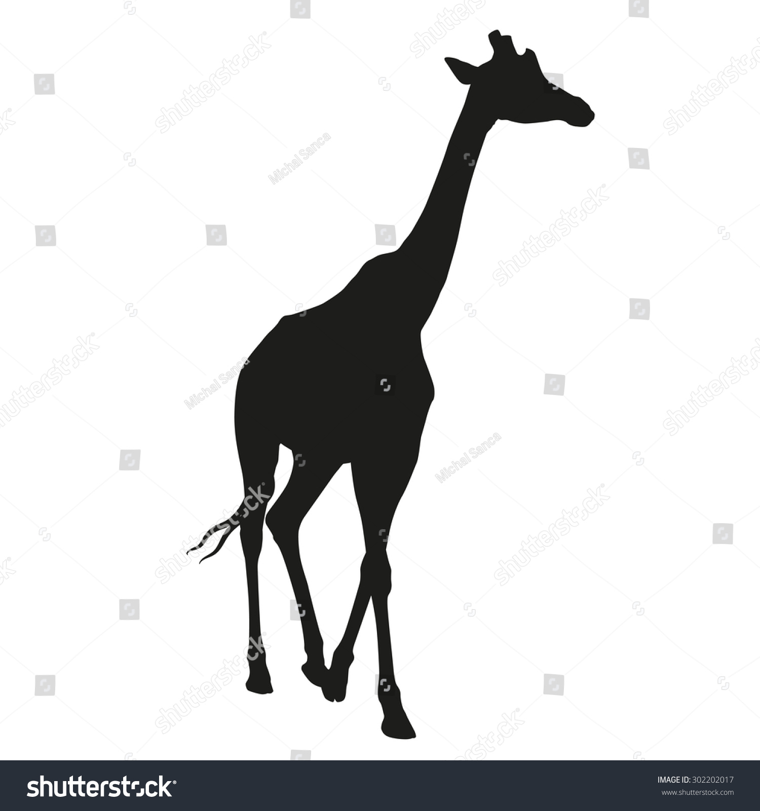 Giraffe Vector Isolated Silhouette Stock Vector (Royalty Free