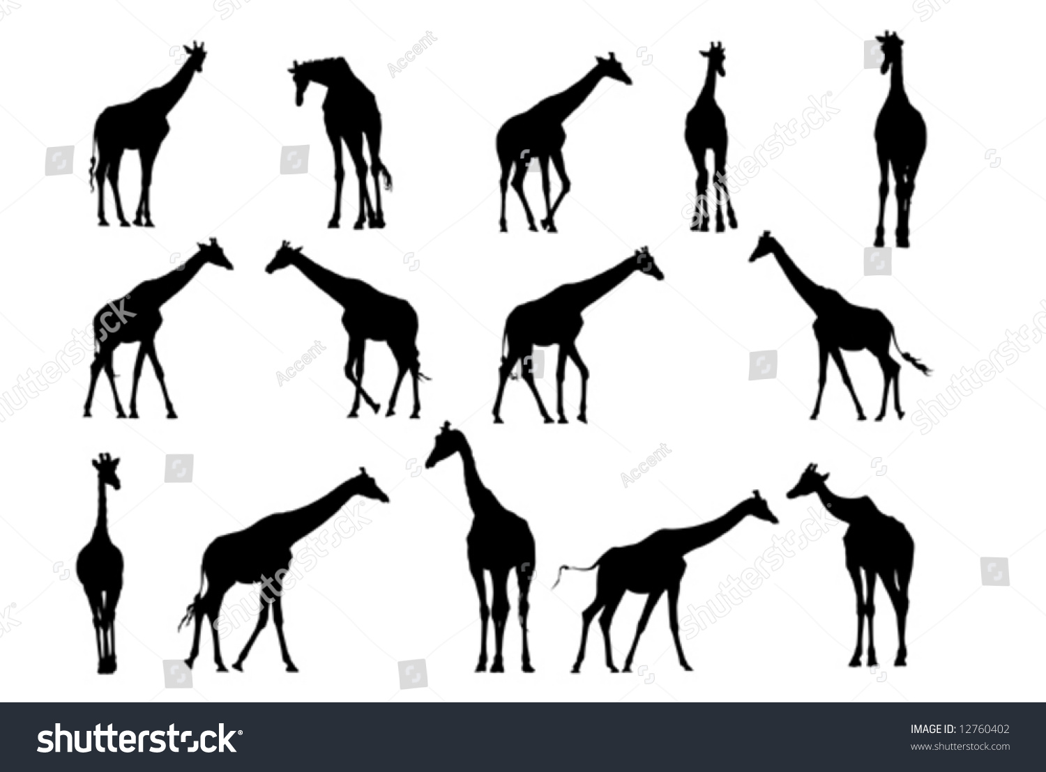 Giraffe Vector Silhouette Collection For Designers - 12760402 ...