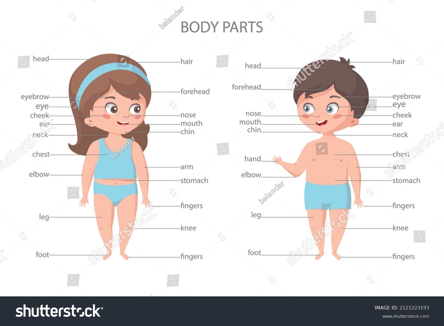 Girl Boy Body Parts Front View Stock Vector (Royalty Free) 2121223193 ...