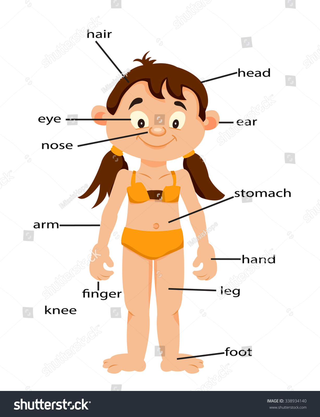 Girl Signed Body Parts English Learn Stock Vector 338934140 - Shutterstock