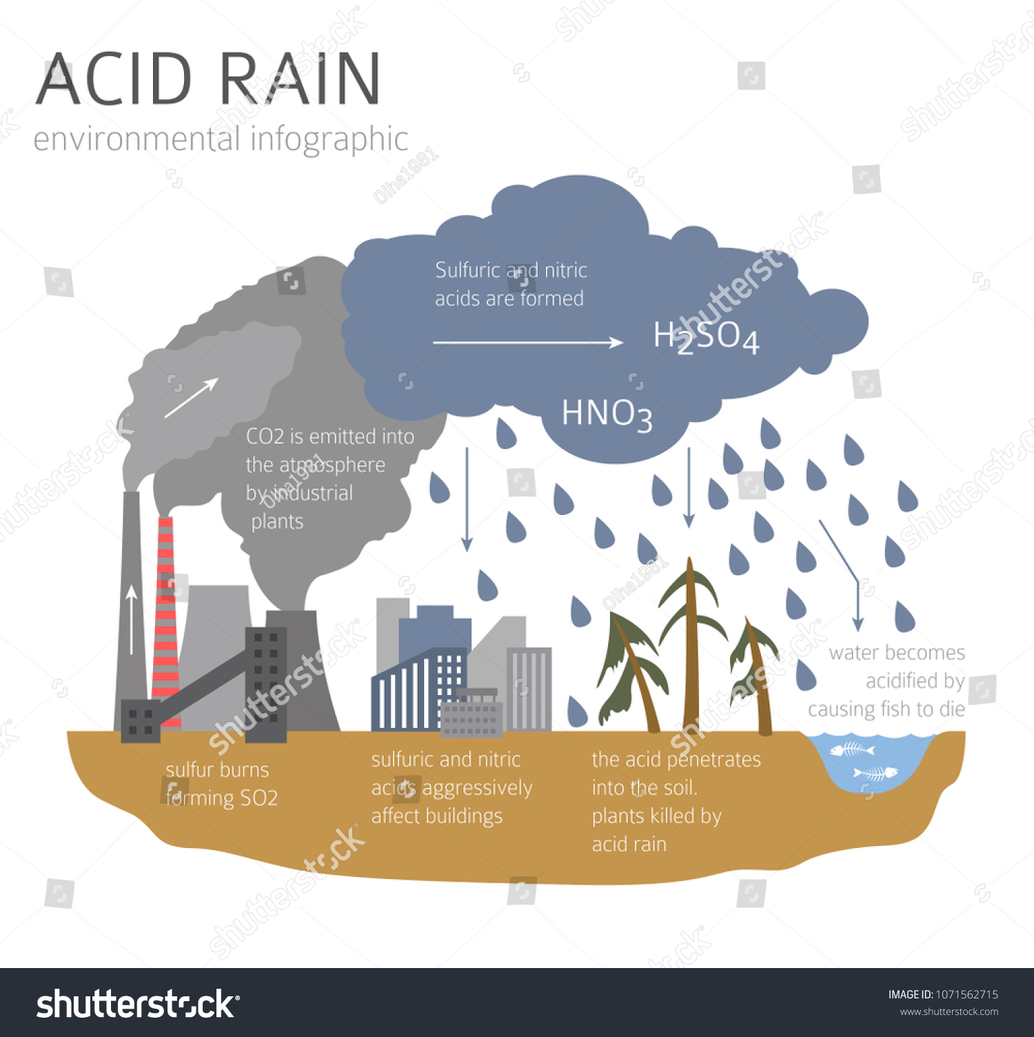 地球環境問題 酸性雨のインフォグラフィック ベクターイラスト のベクター画像素材 ロイヤリティフリー