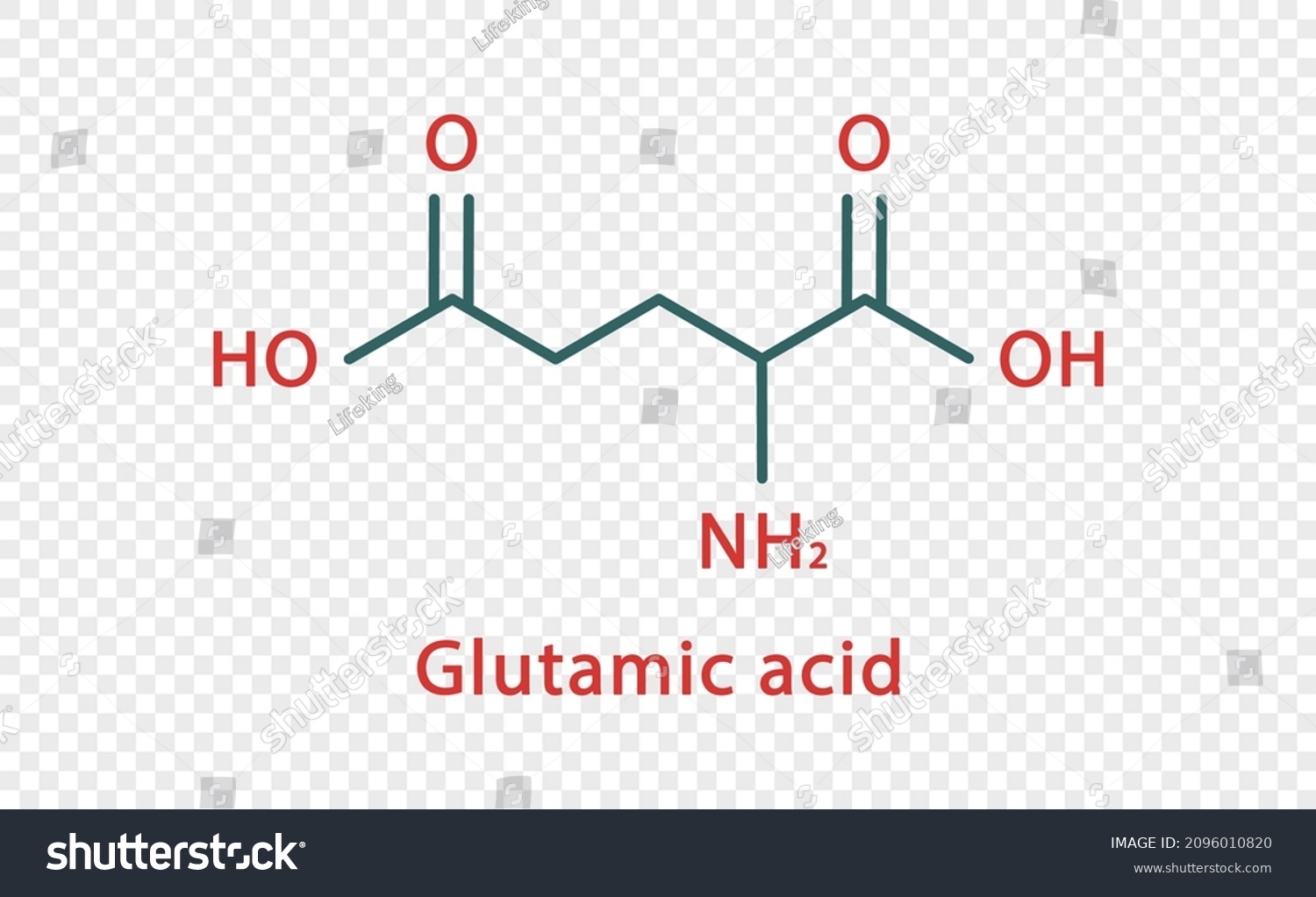 Glutamic Acid Chemical Formula Glutamic Acid Stock Vector (Royalty Free ...