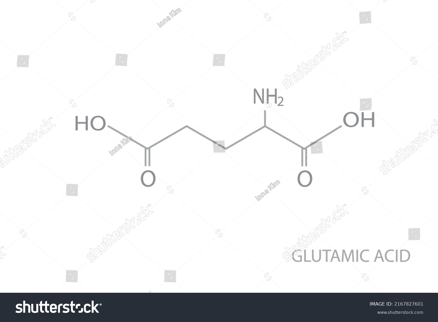 Glutamic Acid Molecular Skeletal Chemical Formula Stock Vector Royalty