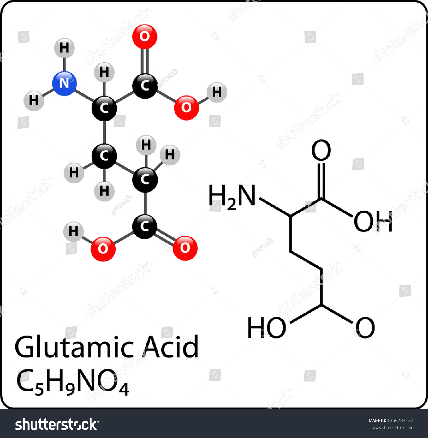 Glutamic Acid Molecule Structure Stock Vector Royalty Free 1359283427