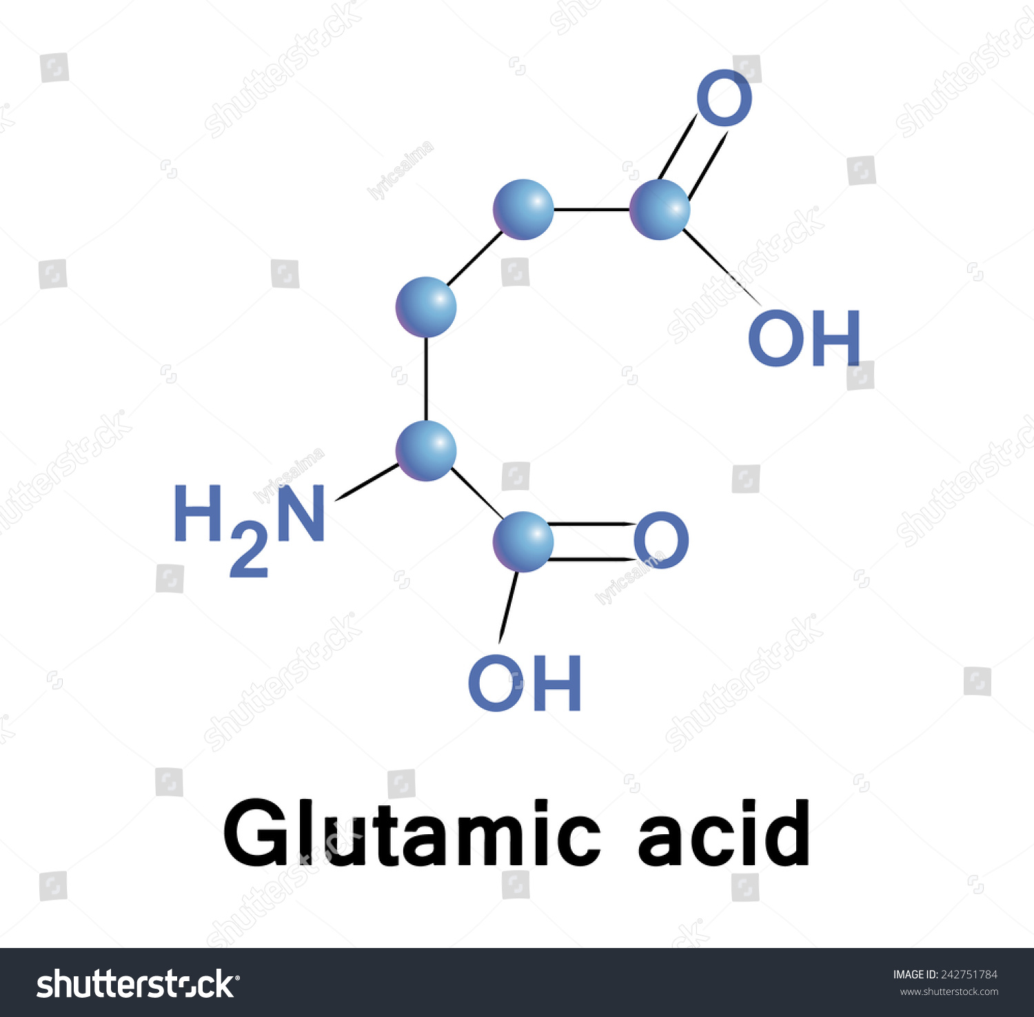 Glutamic Acid Vector Stock Vector (Royalty Free) 242751784 | Shutterstock