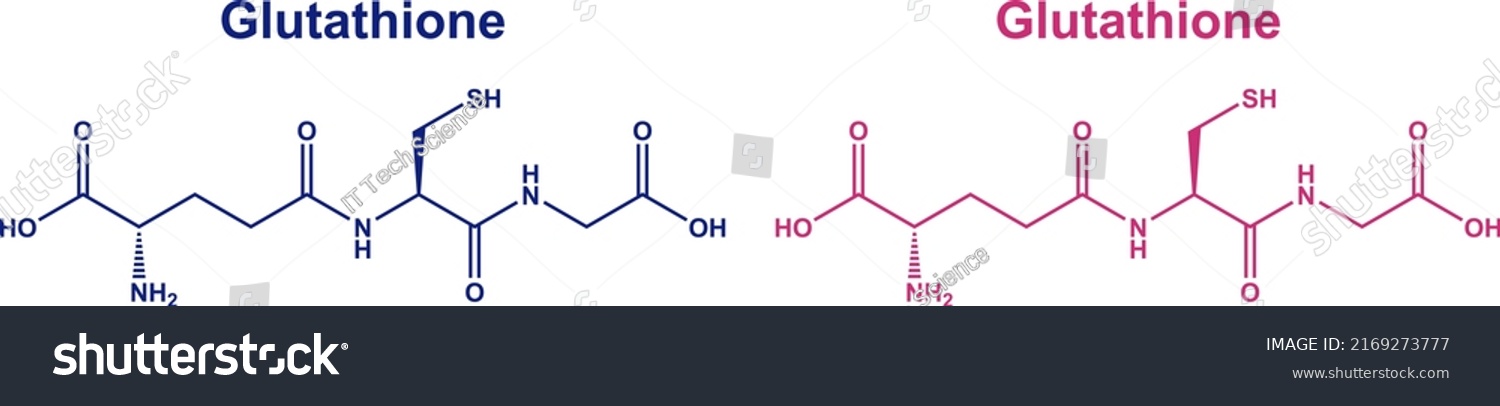 Glutathione Gsh Antioxidant Molecule Structure Blue Stock Vector Royalty Free 2169273777 3899