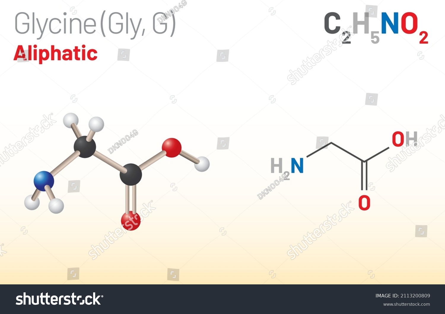 Glycine Gly G Amino Acid Molecule Stock Vector (Royalty Free) 2113200809