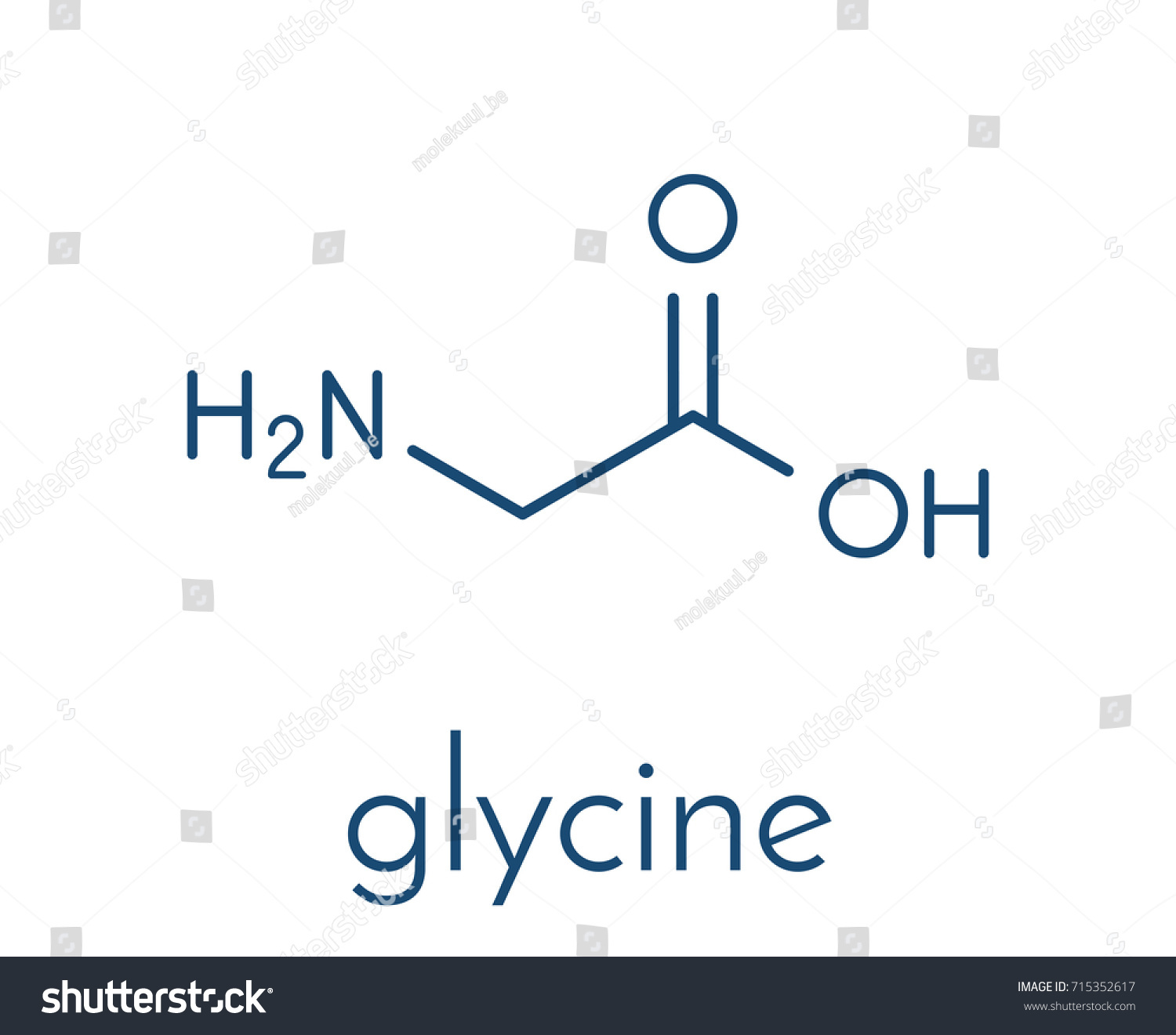 Glycine Gly G Amino Acid Molecule Stock Vector 715352617 - Shutterstock