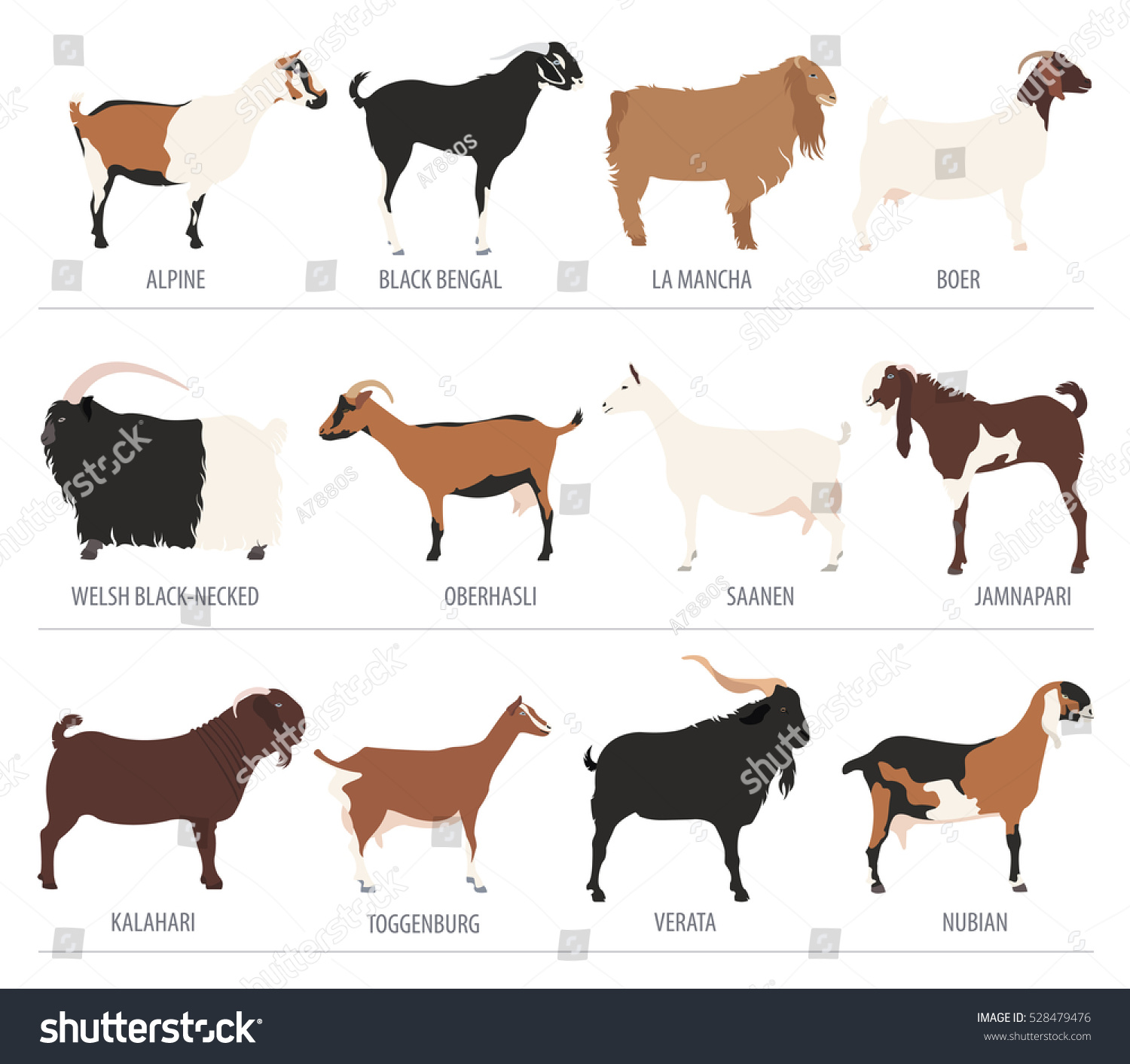 Goat Breeds Icon Set Animal Farming Stock Vector (Royalty Free ...