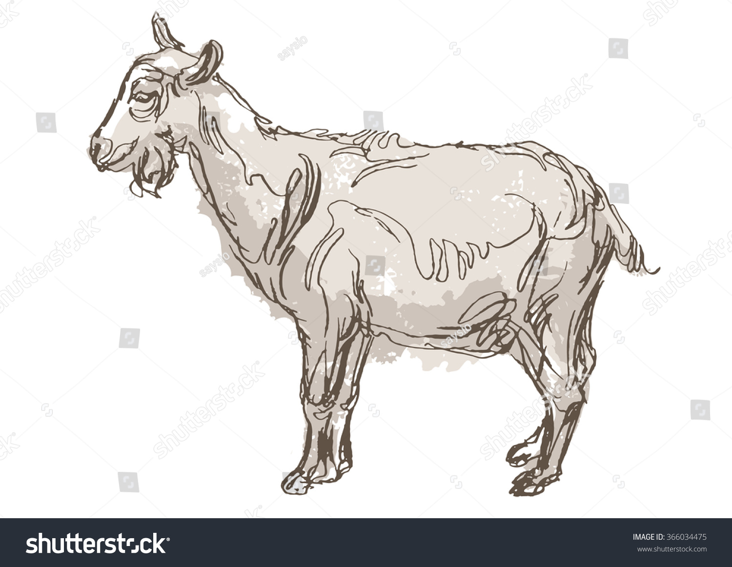 Goat Hand Draw Sketch Vector - 366034475 Shutterstock