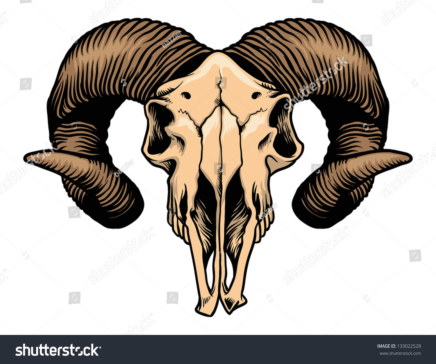 vector goat skull Head Shutterstock 133022528 Stock Vector Goat   Skull