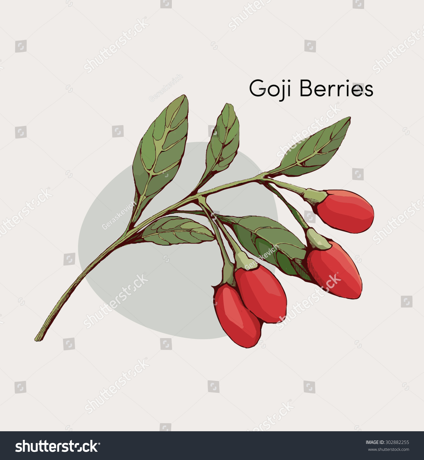 goji berries francais
