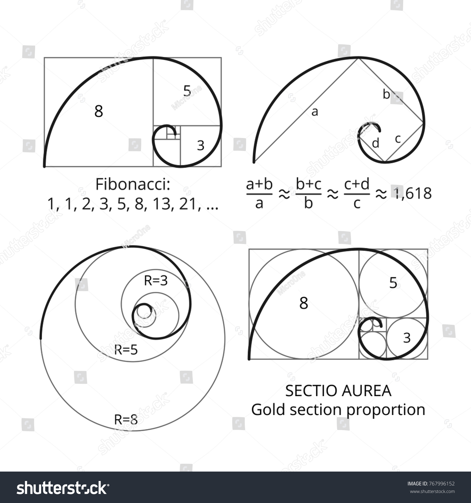 Golden Fibonacci Ratio Spirals Gold Section Stock Vector Royalty Free 767996152 Shutterstock