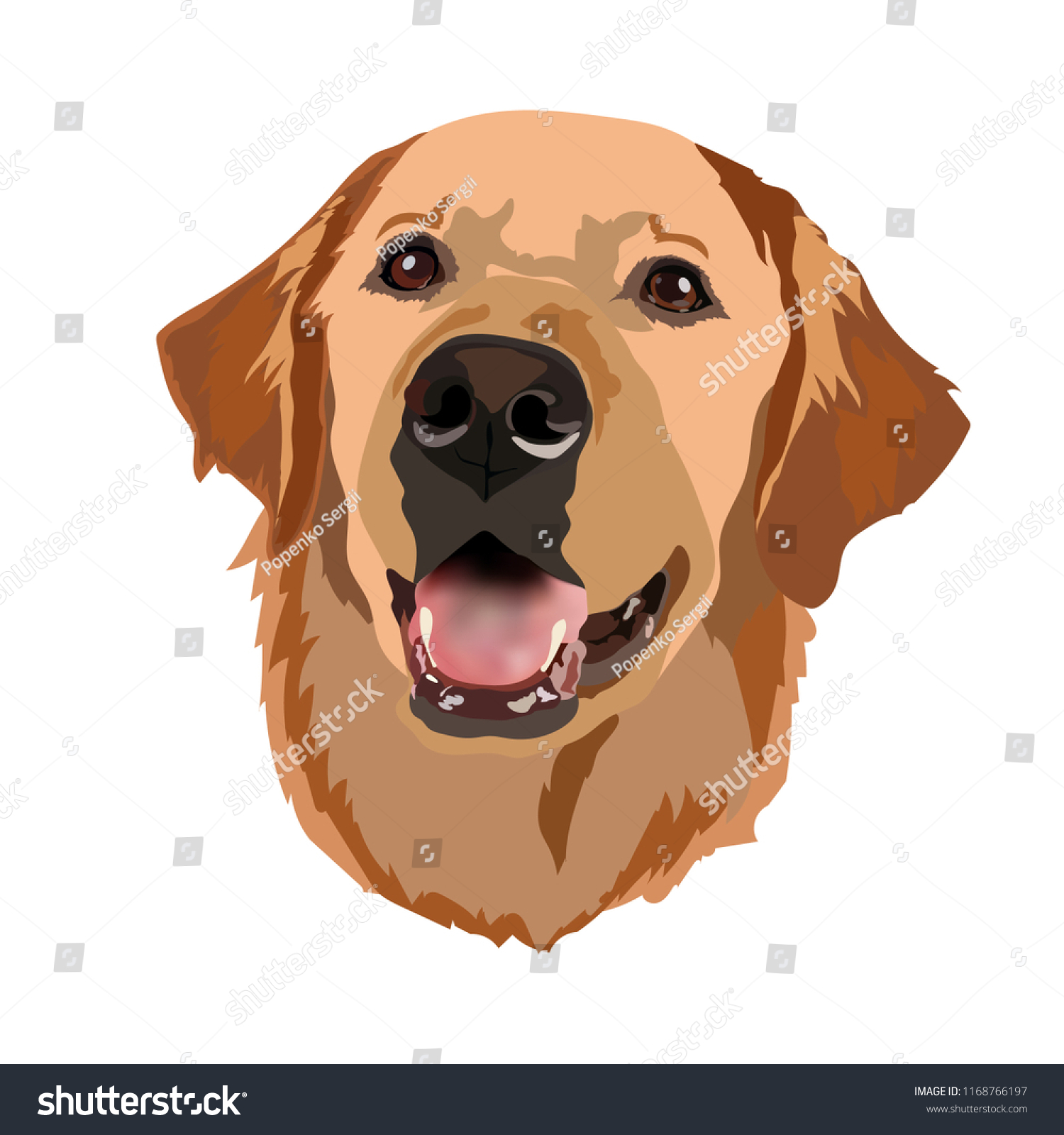 Golden Labrador Retriever Vector Head Stock Vector Royalty Free