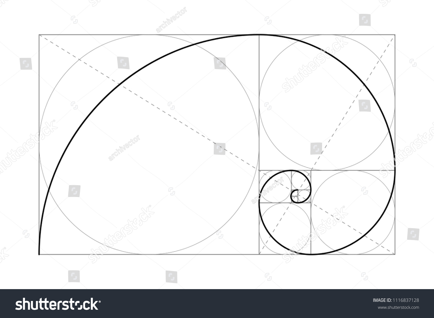 Golden Ratio Fibonacci Number Circles Golden Stock Vector (Royalty Free ...