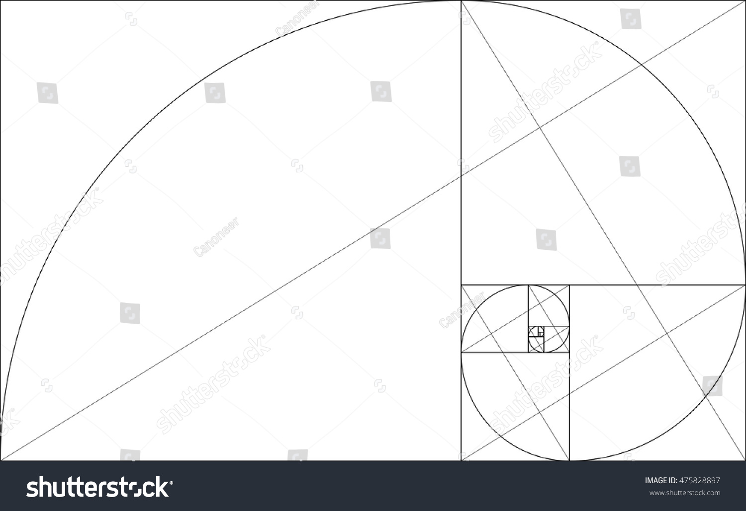 Golden Ratio Graph. Vector Illustration - 475828897 : Shutterstock