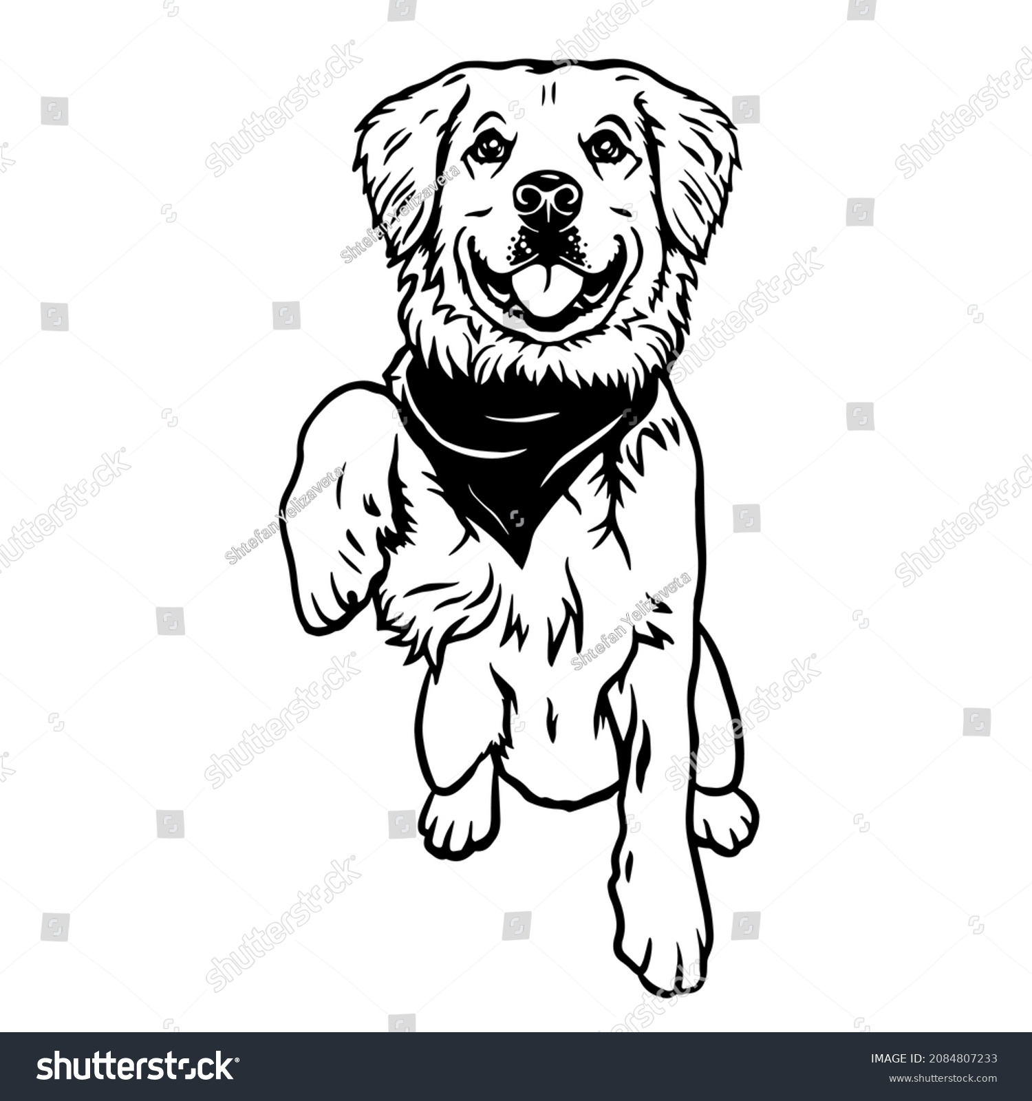 SVG of Golden Retriever Peeking Dog - head isolated on white. Dog clipart. Young retriever vector illustration file for cutting. Black dog animals svg