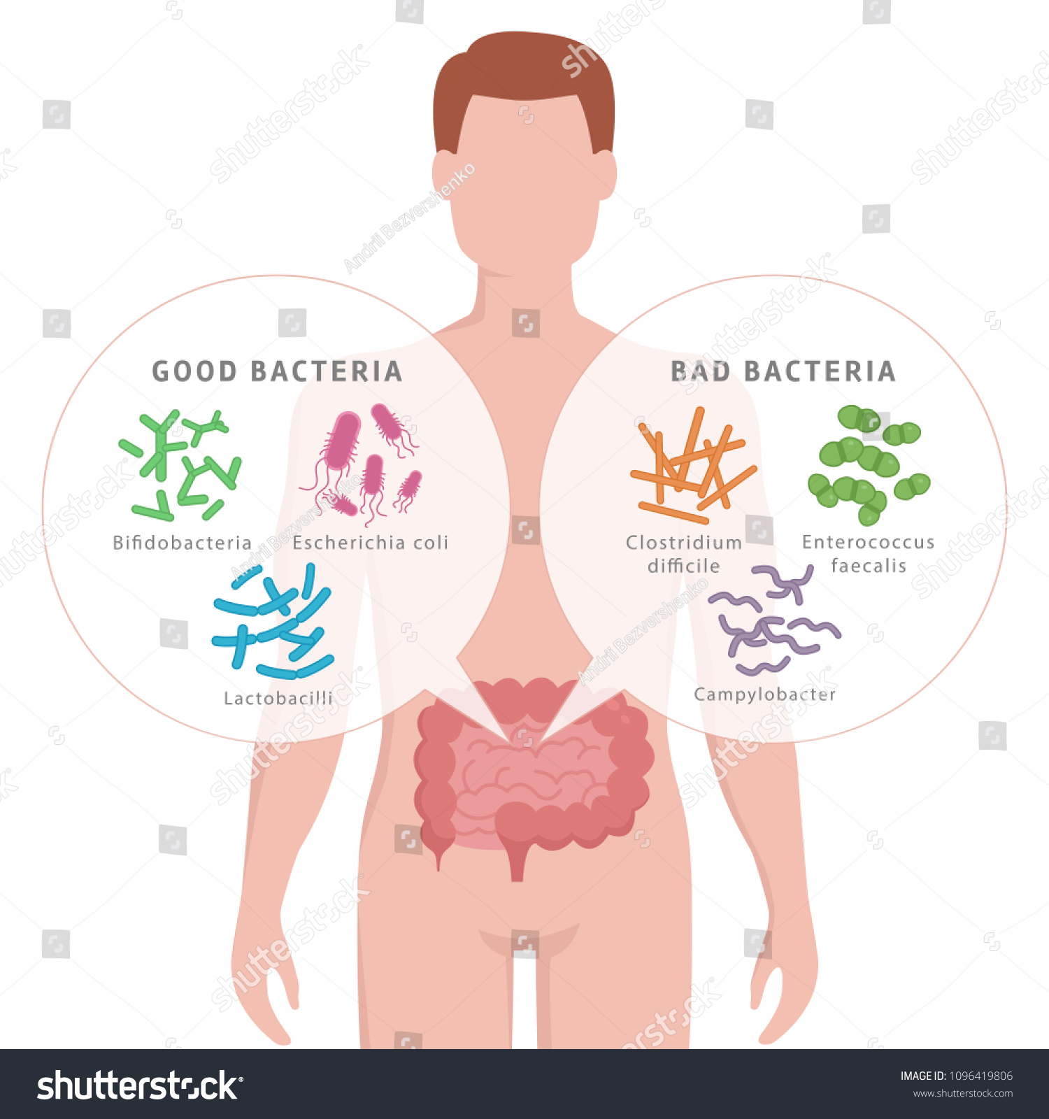 1,491 Good bacteria bad Images, Stock Photos & Vectors | Shutterstock