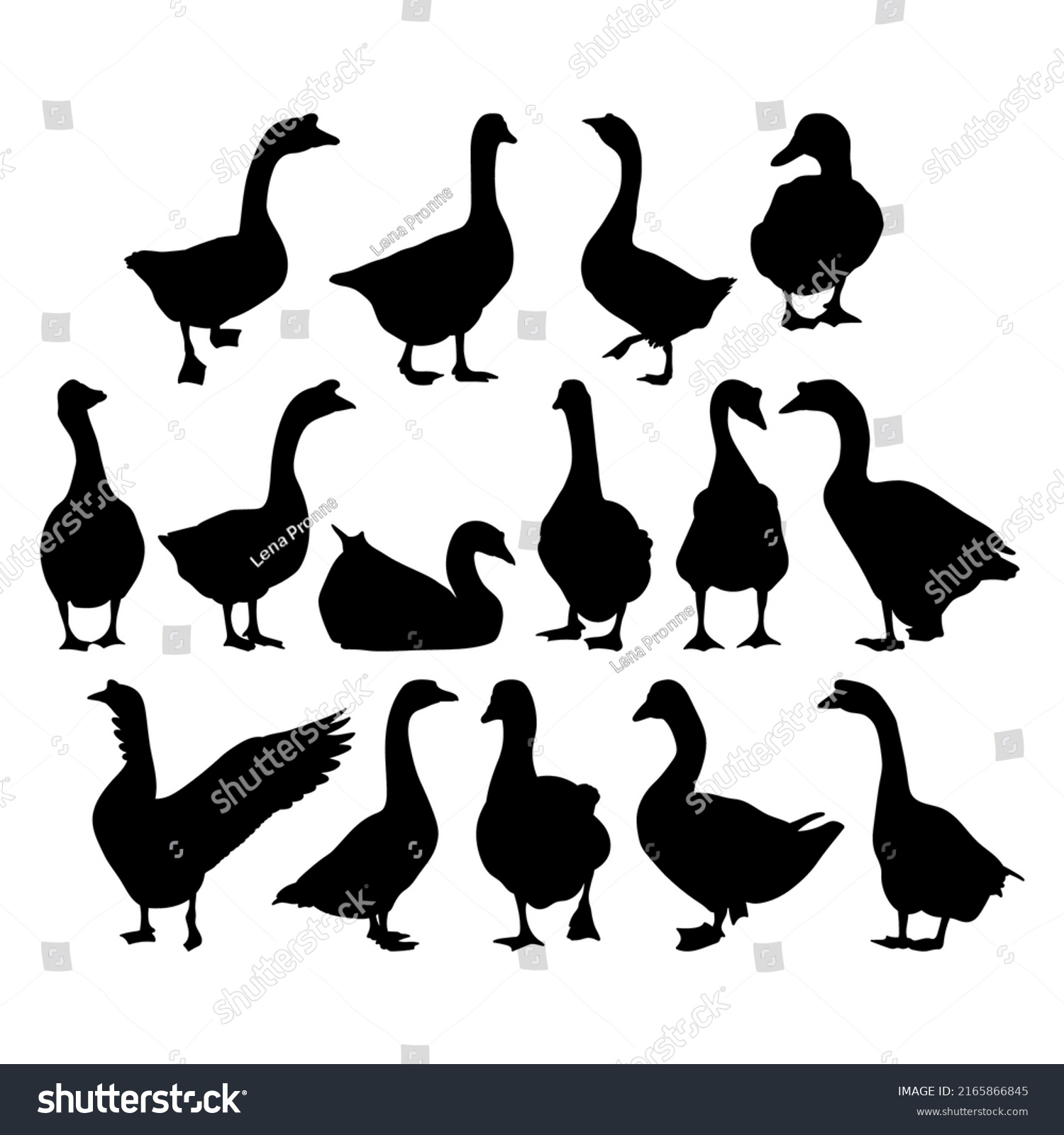SVG of Goose, geese. Template for plotter lazer cutting of paper, wood svg