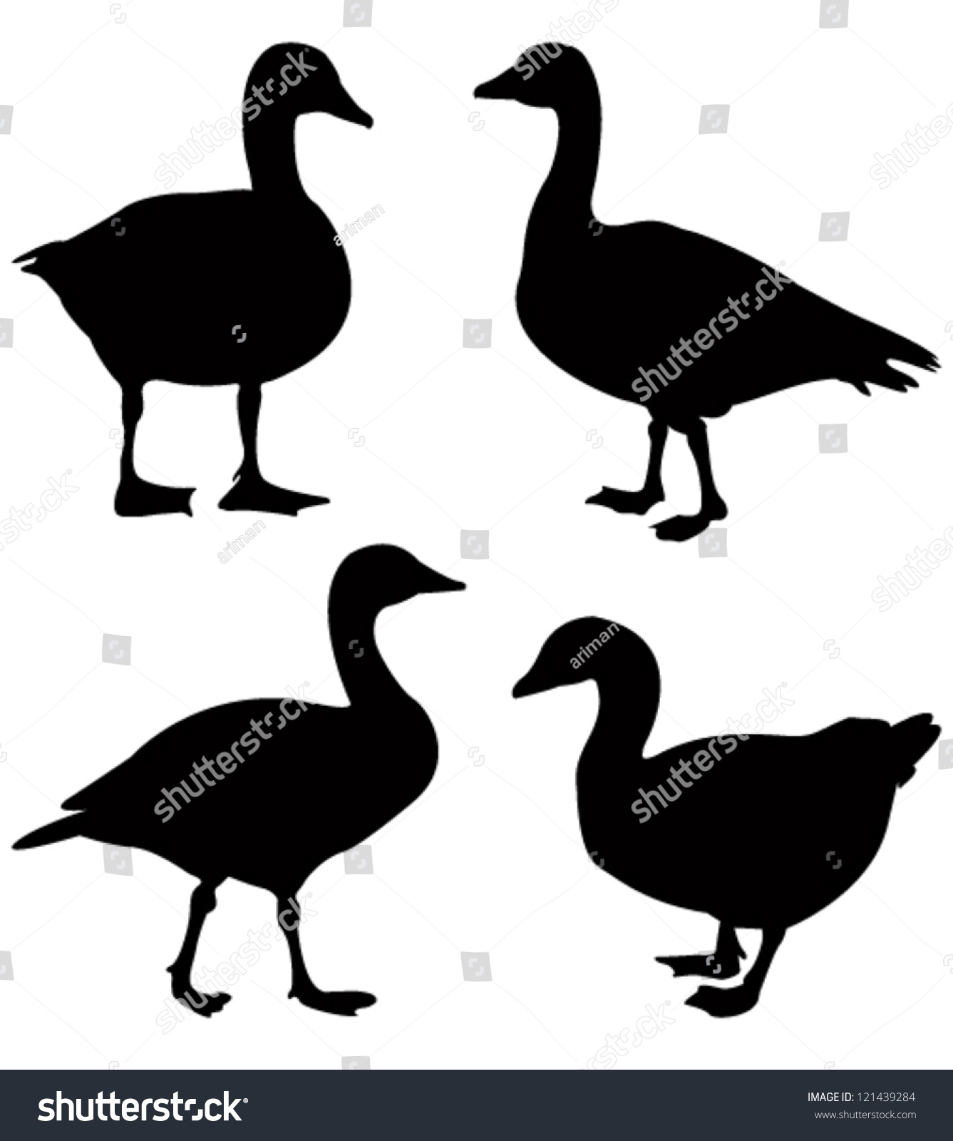 Goose Silhouette Stock Vector Illustration 121439284 : Shutterstock