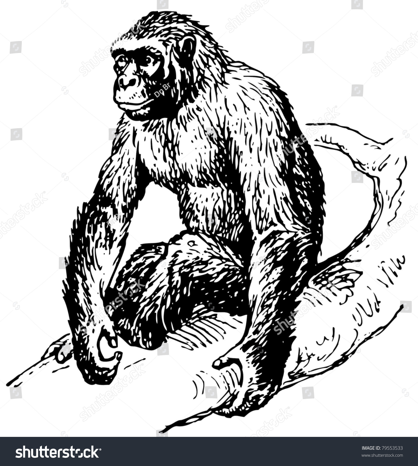 Gorilla Stock Vector Illustration 79553533 : Shutterstock